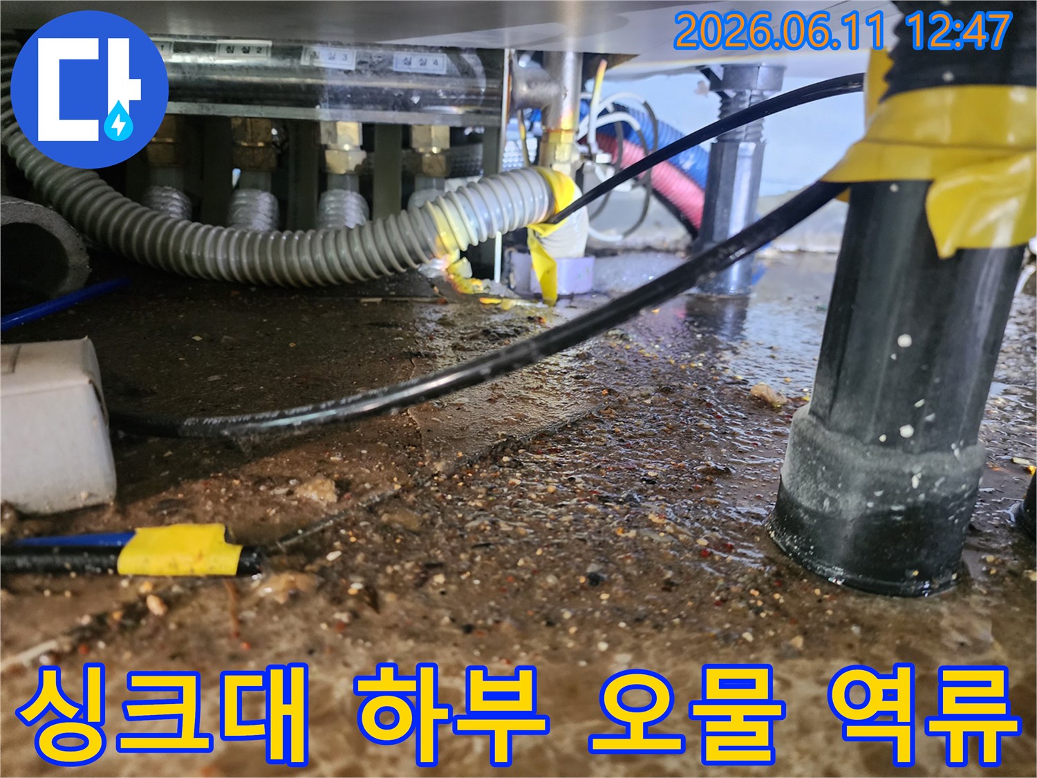 싱크대 아래쪽 배관 주변에 고여 있는 오염된 물과 찌꺼기들입니다.