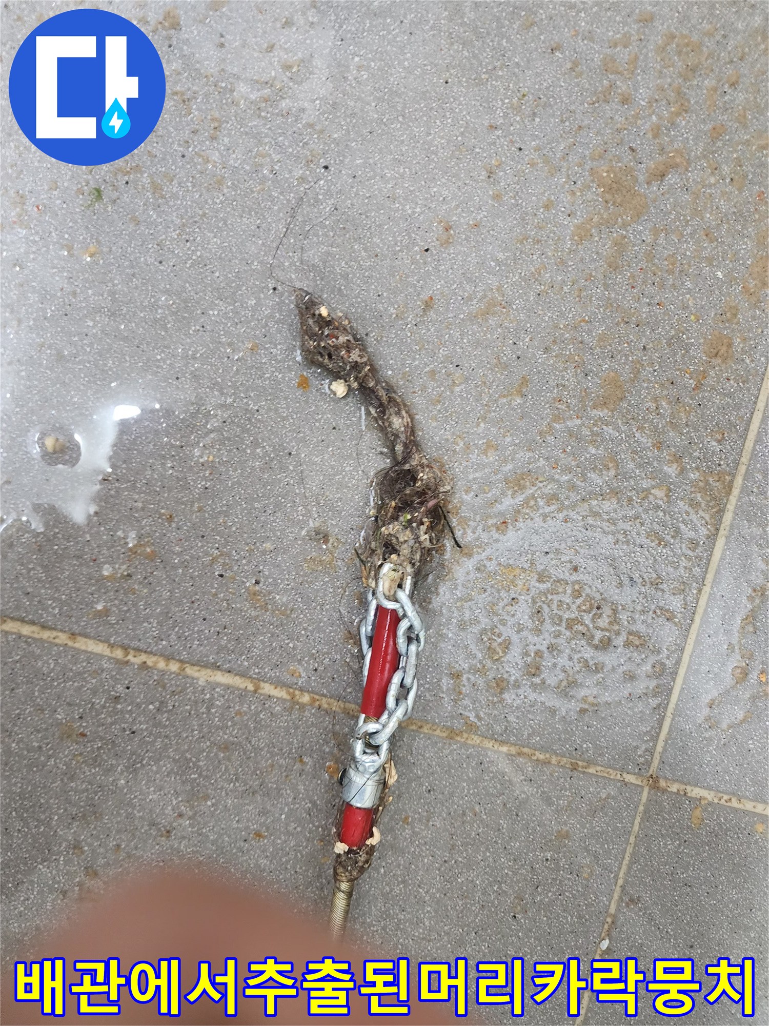 배관 내부에서 뽑아낸-머리카락과슬러지덩어리