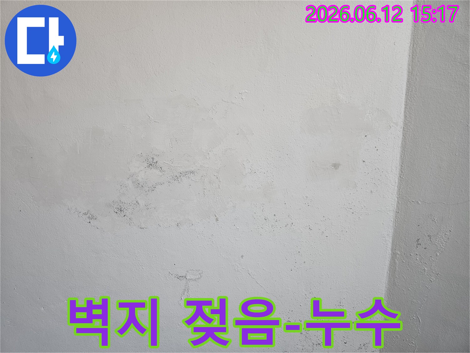 벽지가 젖고 곰팡이가 피어난 모습으로-명확한 누수 문제임을 보여줍니다