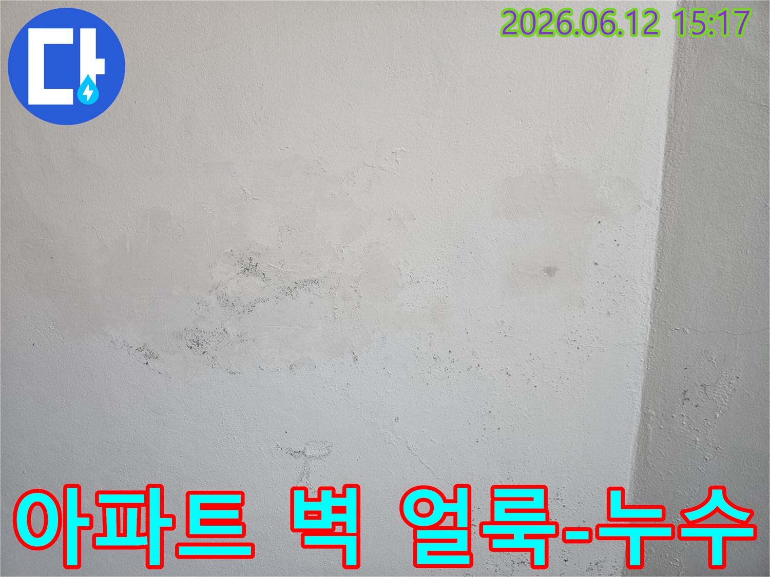 아파트 벽면에 발생한 심각한 곰팡이와-물 얼룩을 보여주며-누수 문제의 시급성을 강조합니다