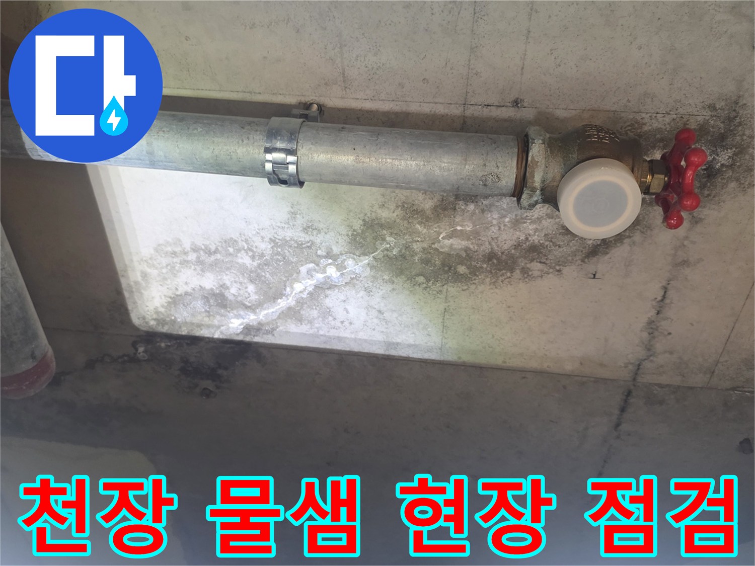 이 사진은 낡은 배관에서 물이 새어-천장 콘크리트에 스며들어-하얀 물 자국과-검은 곰팡이가 생긴 모습입니다