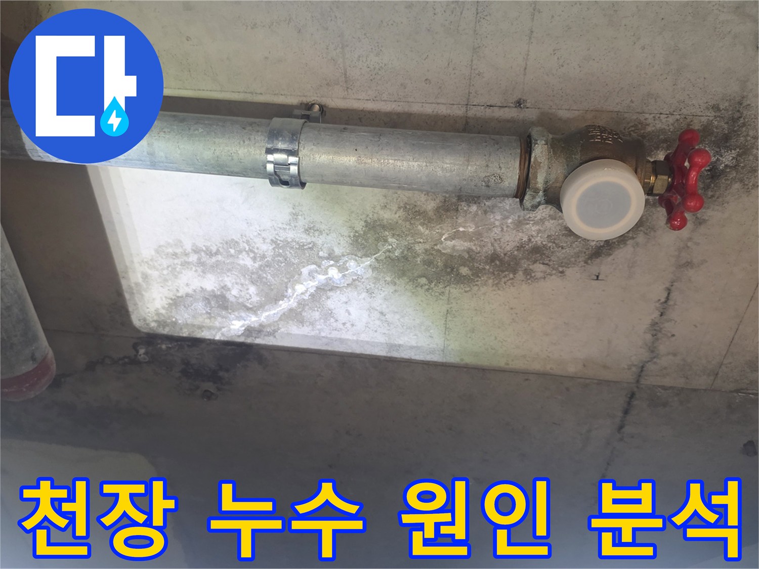 이 이미지는 천장 배관 주변에서 발생한 누수로-인해 콘크리트에 생긴 하얀 물 자국과-검은 곰팡이 얼룩을 자세히 보여줍니다