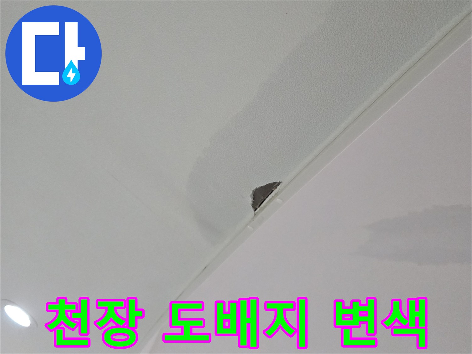 습기로 인해 변색된 천장 도배지와 젖은 마감재 부위