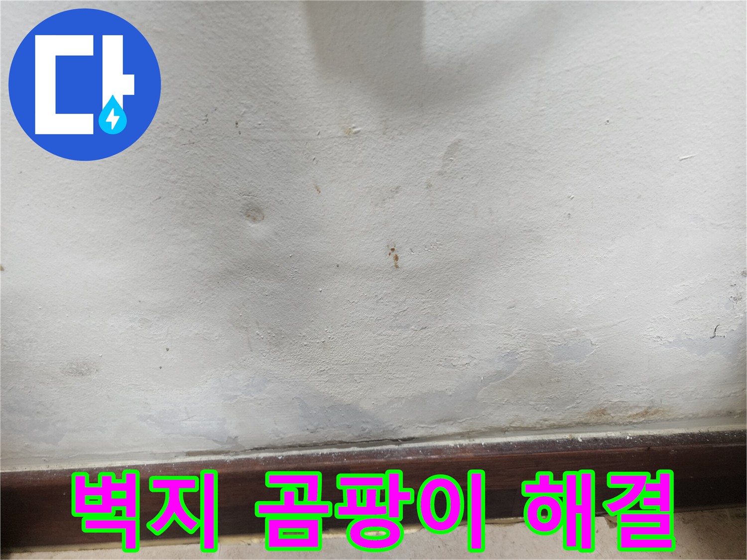 벽지-곰팡이-발생-누수-해결-전문-사진