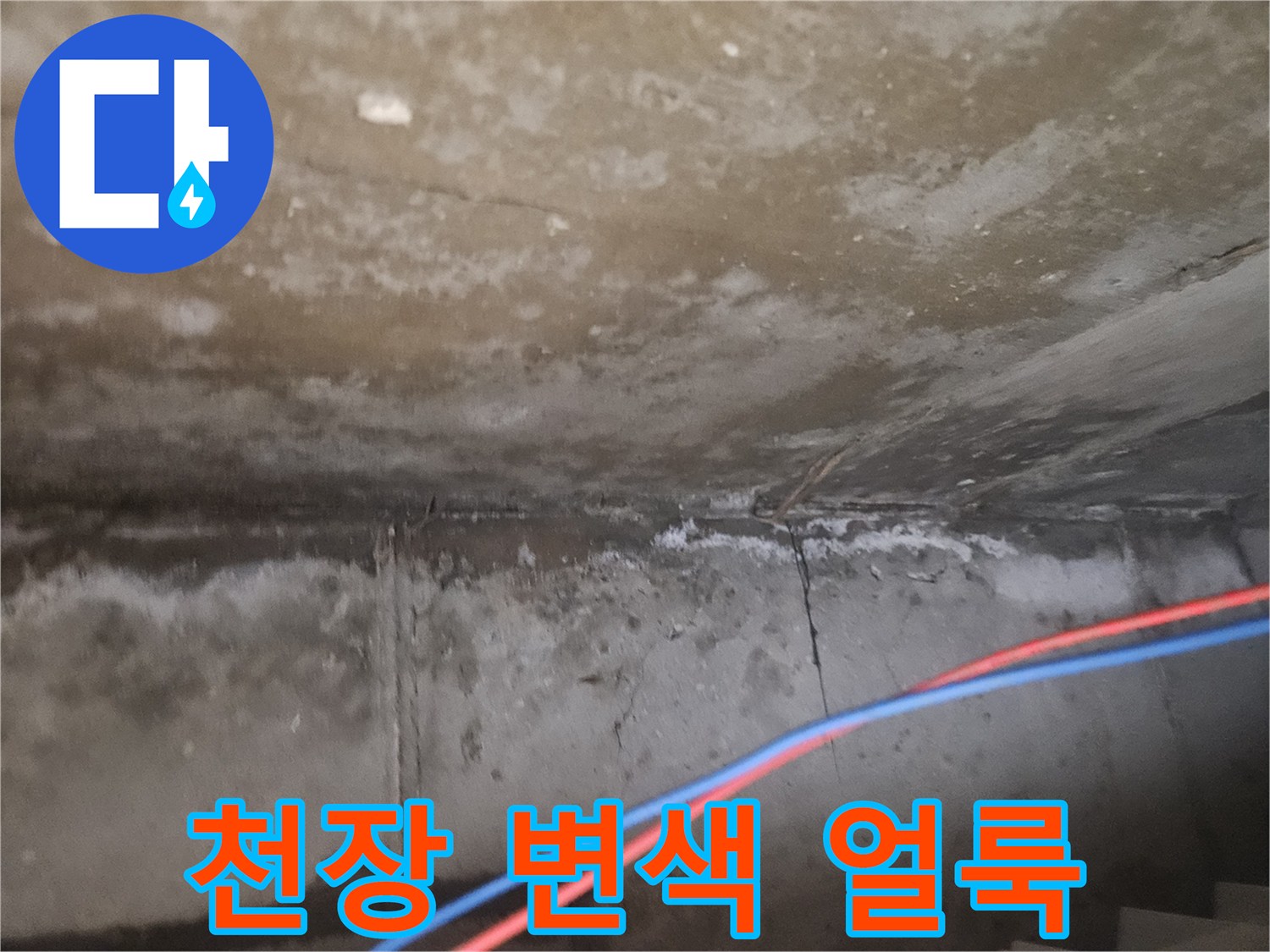 습기가 침투하여 변색된 천장 마감재의 상태