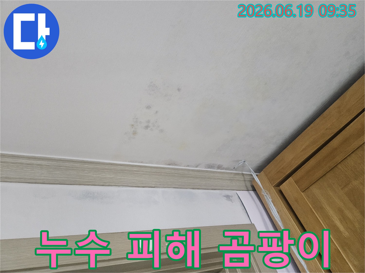 오랜-기간-진행된-누수로-인해-천장-마감재와-벽지에-생긴-얼룩과-곰팡이