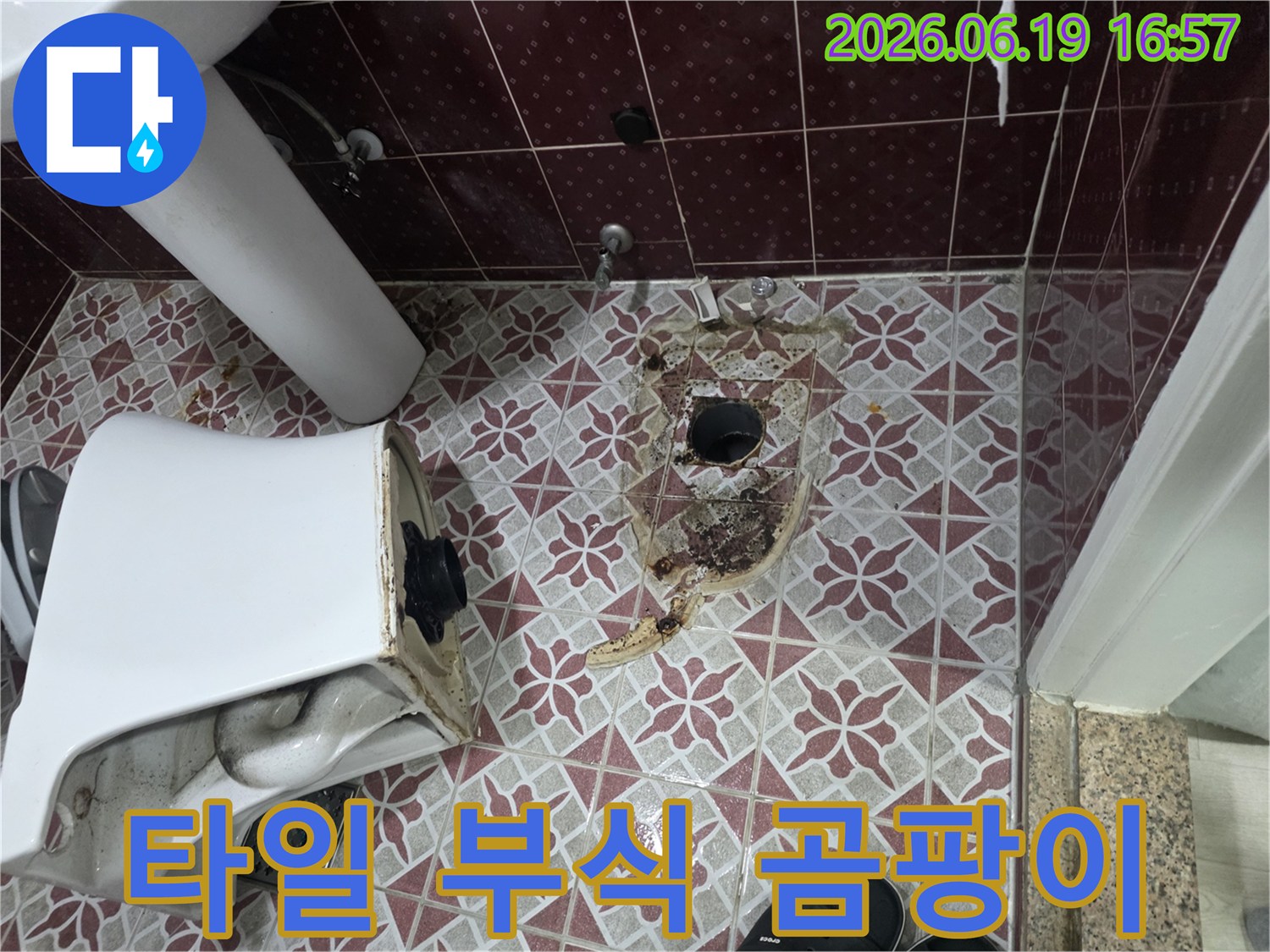 변기 누수로 인한 타일 부식과-곰팡이 문제를 해결하기 위한 보수 현장