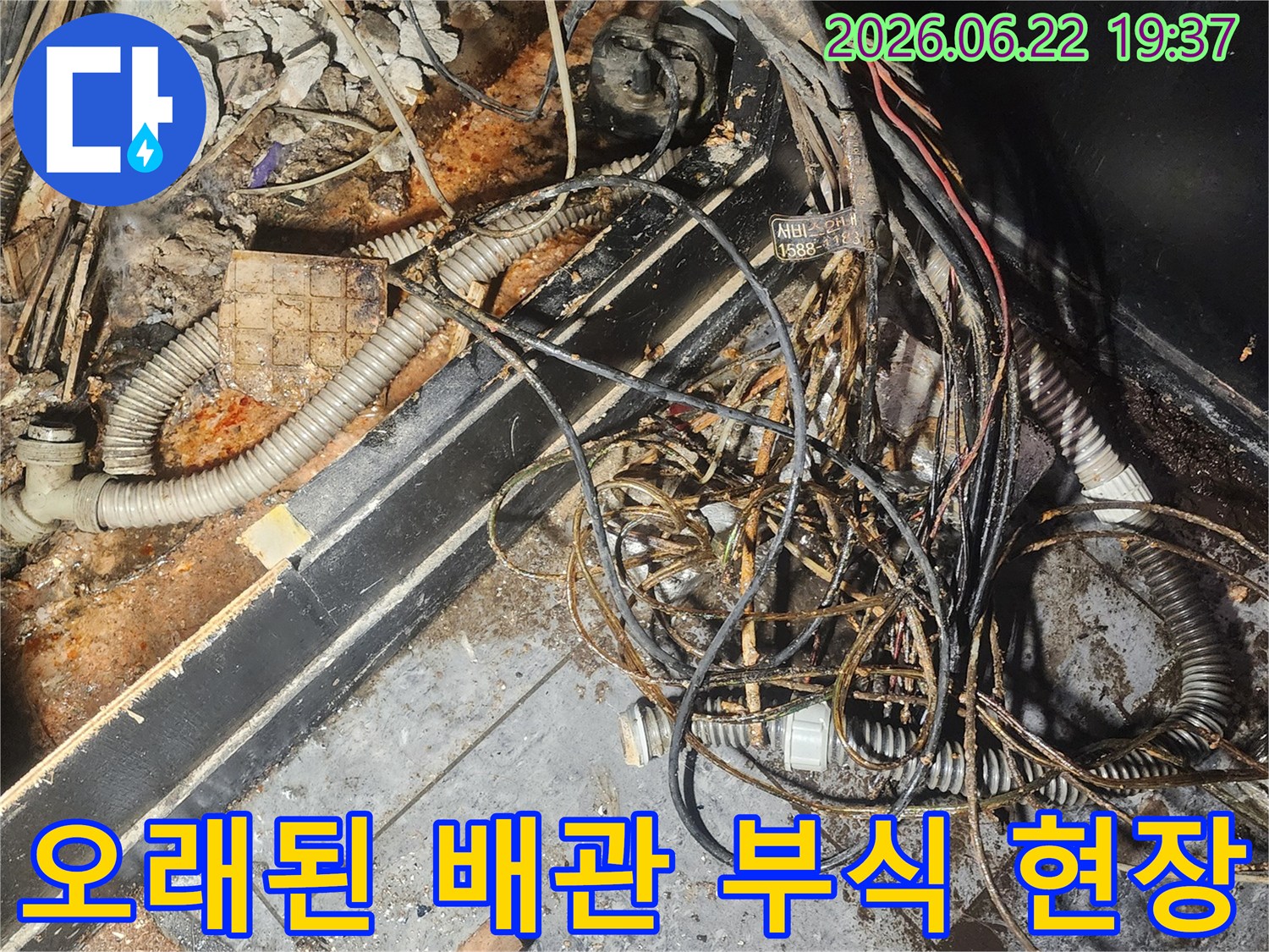 누수-엔지니어가-오래된-배관과-전선이-뒤섞인-현장에서-부식-상태를-면밀히-살펴보고-있습니다