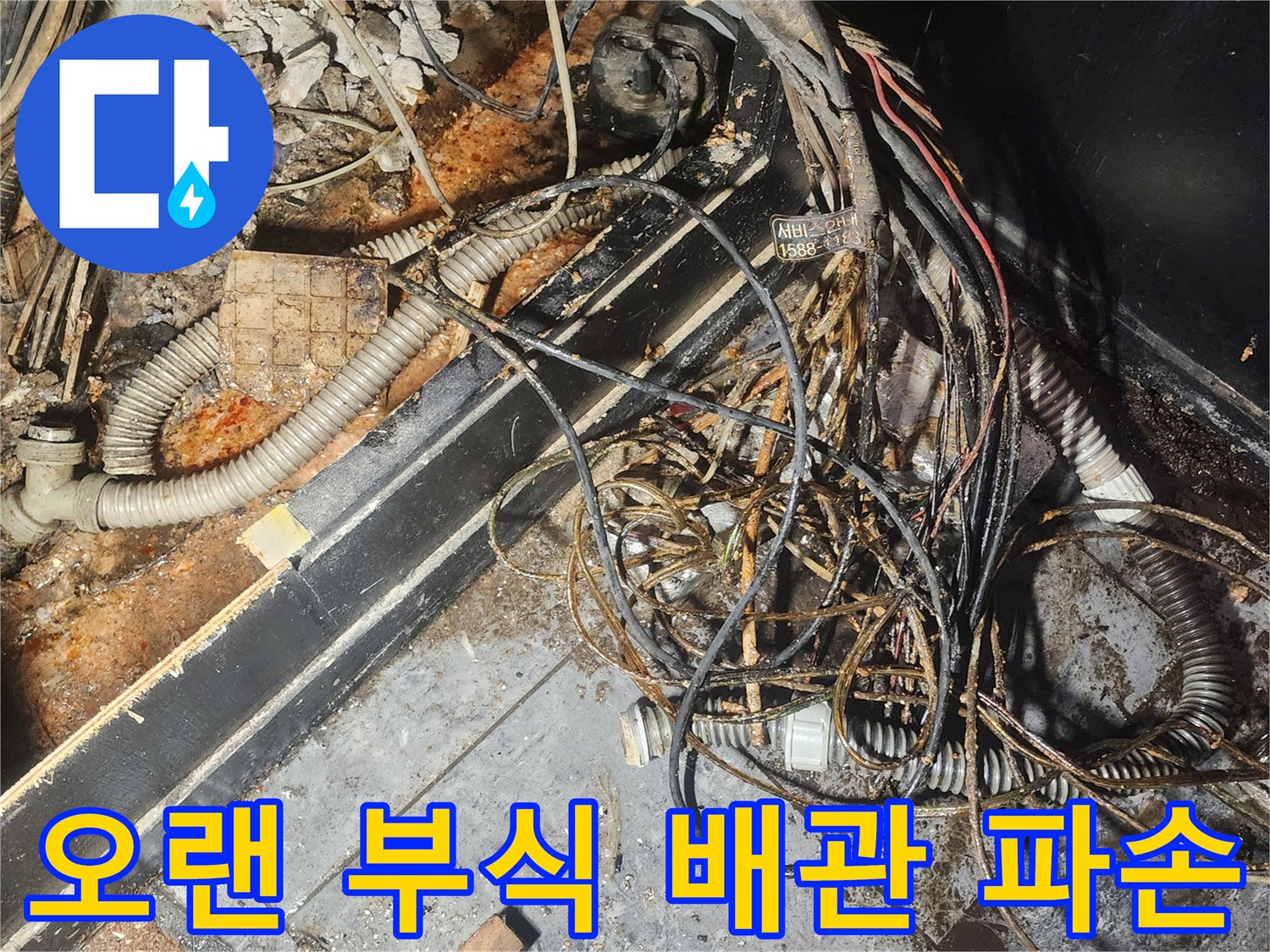 누수-엔지니어가-오랜-시간-물에-노출되어-심하게-부식된-배관과-주변-환경을-정밀하게-조사하며-파손-여부를-확인하고-있습니다