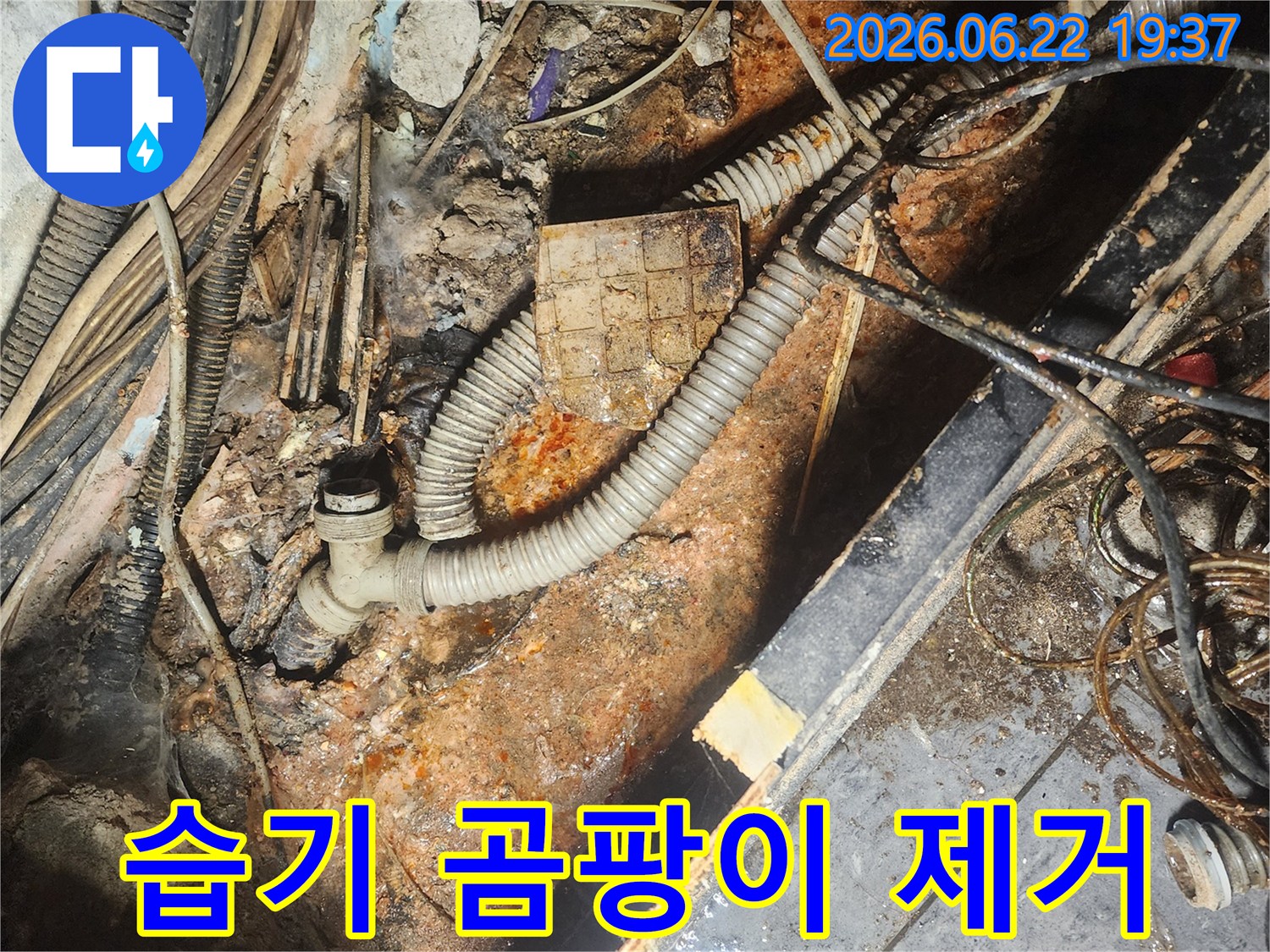 누수-탐지-후-굴착된-현장에서-발견된-배관-주변의-습기와-곰팡이를-제거하고-건조하는-작업-현장