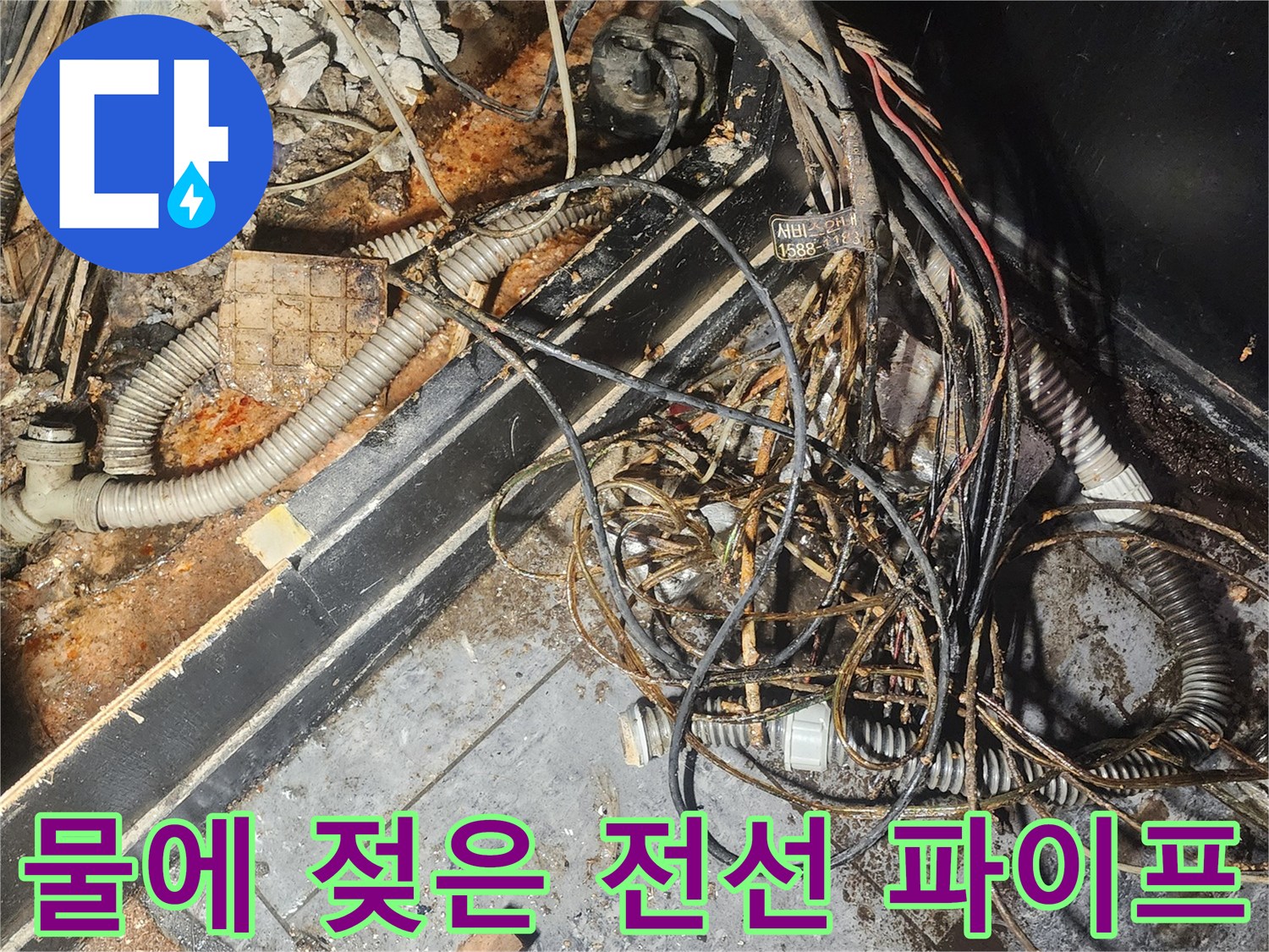 오랜-누수로-인해-물에-잠기고-부식된-전기-케이블과-파이프의-복잡한-모습-위험성이-높습니다