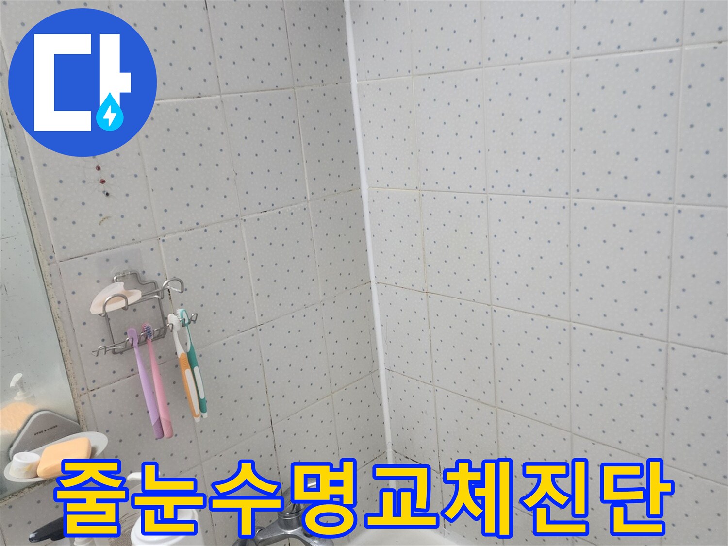 동대문구-사가정로-욕실-누수-타일-줄눈-수명-교체-필요성-진단-모습