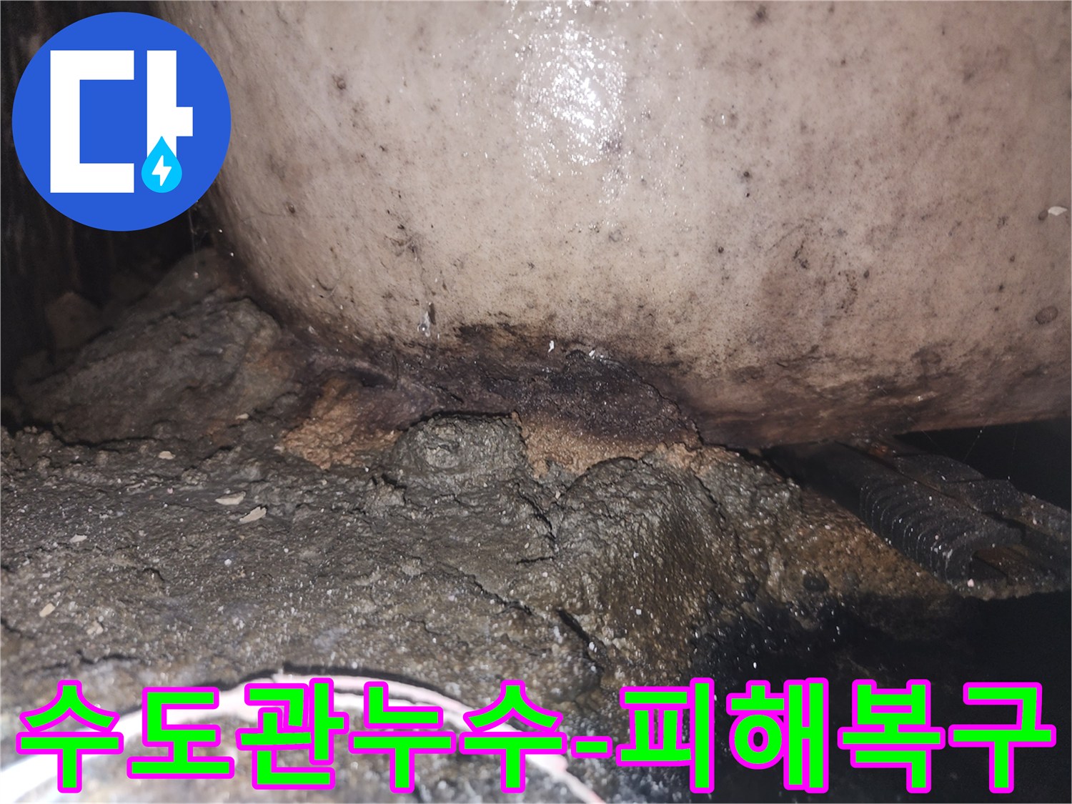 배관 주변의 콘크리트가 물에 젖어 부스러지고 곰팡이가 발생한 누수 현장