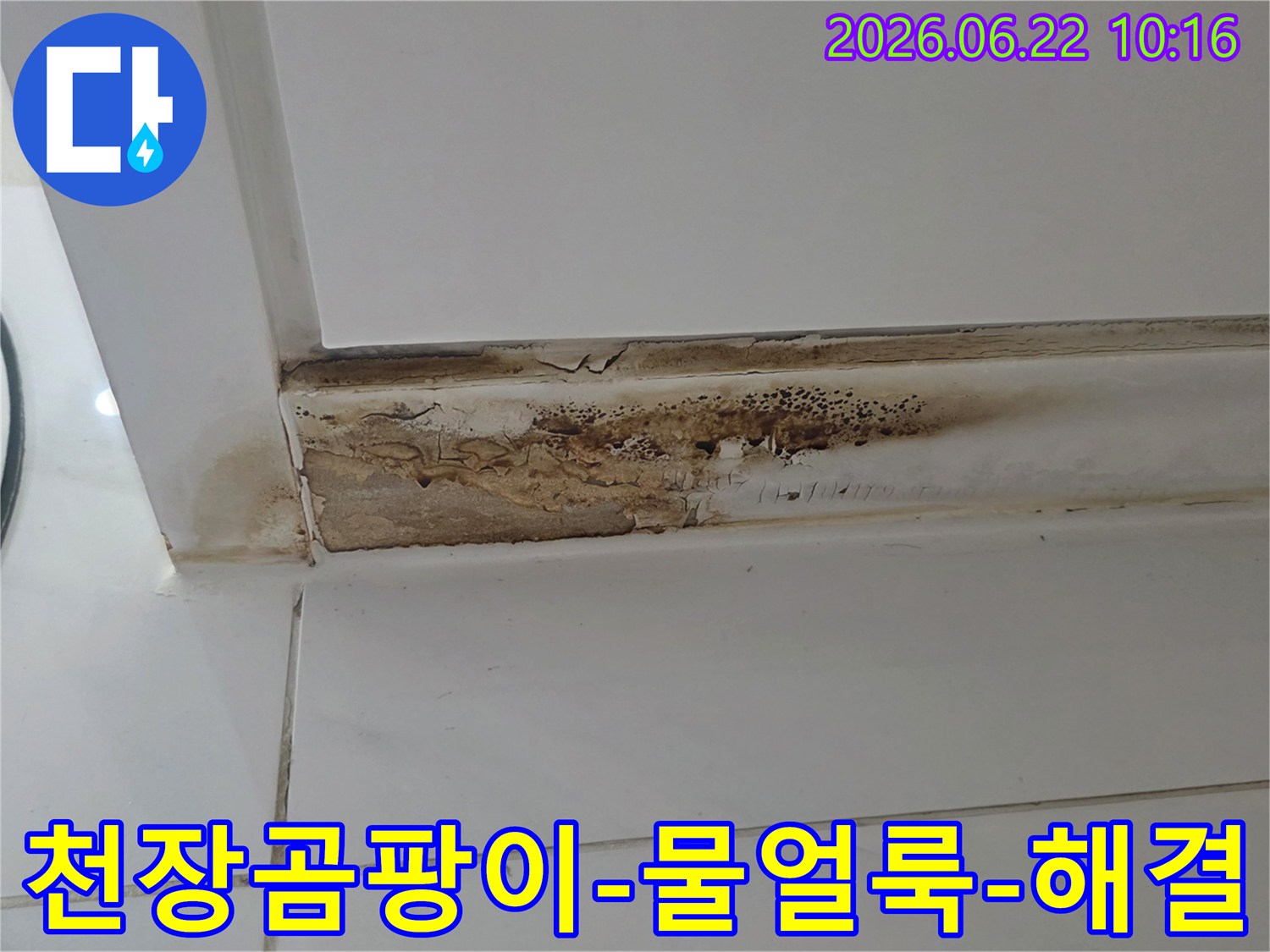 천장-모서리에-발생한-심각한-곰팡이와-물얼룩-누수로-인한-벽면-손상-모습