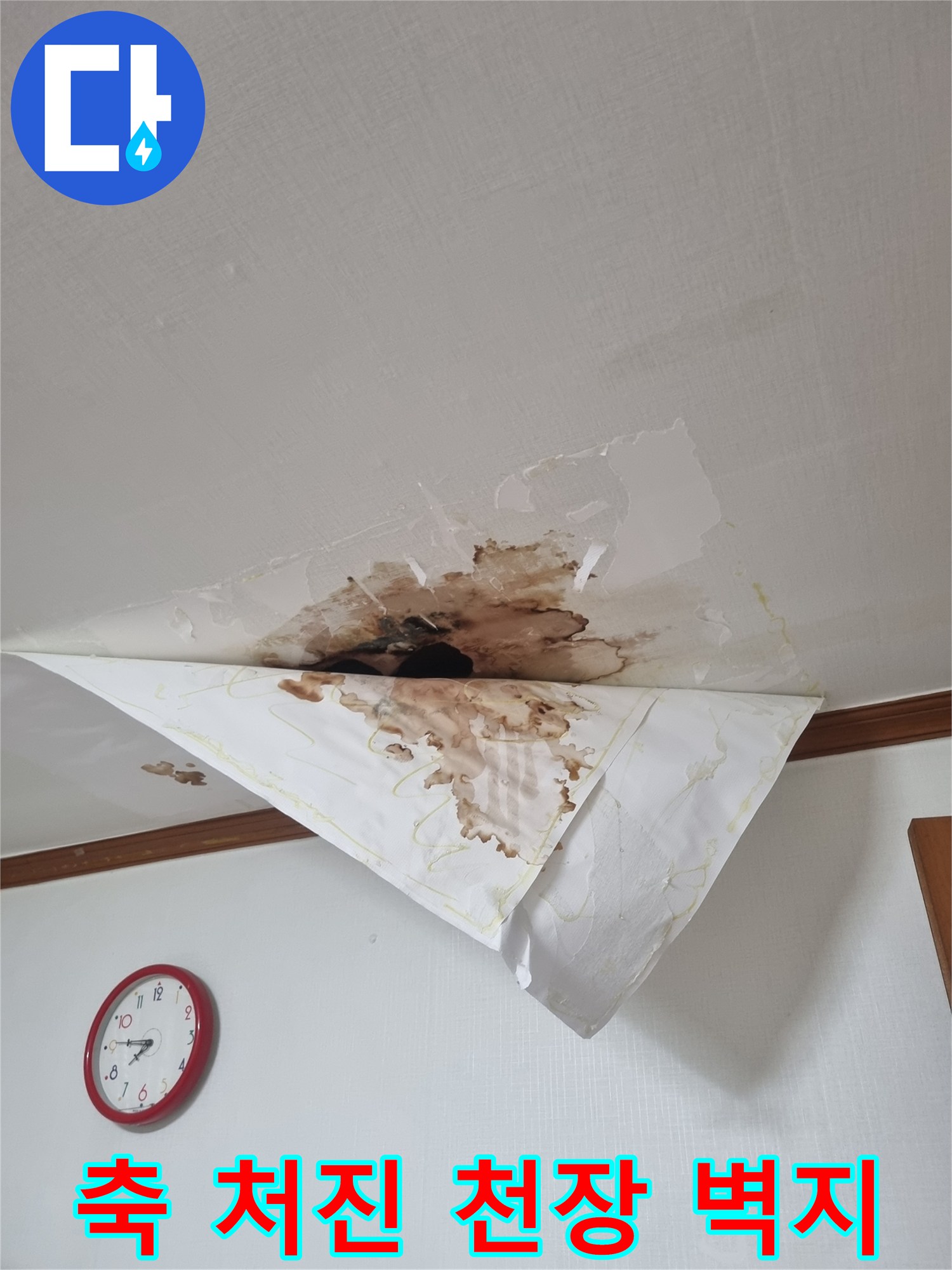 물기를-머금고-벌어진-천장벽지