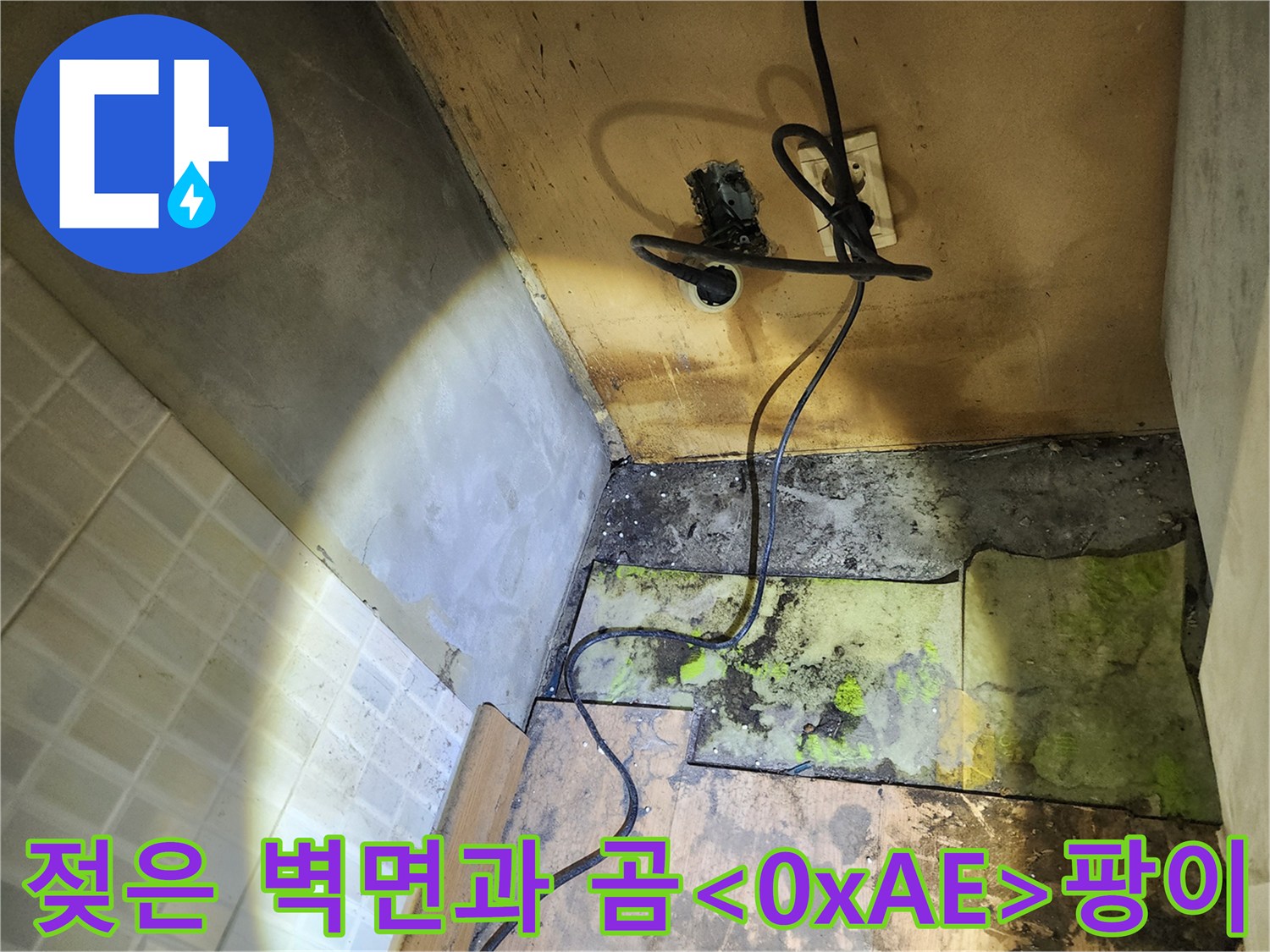 누수 현장-습기로 인해 변색되고 곰팡이가 핀 벽체 하단