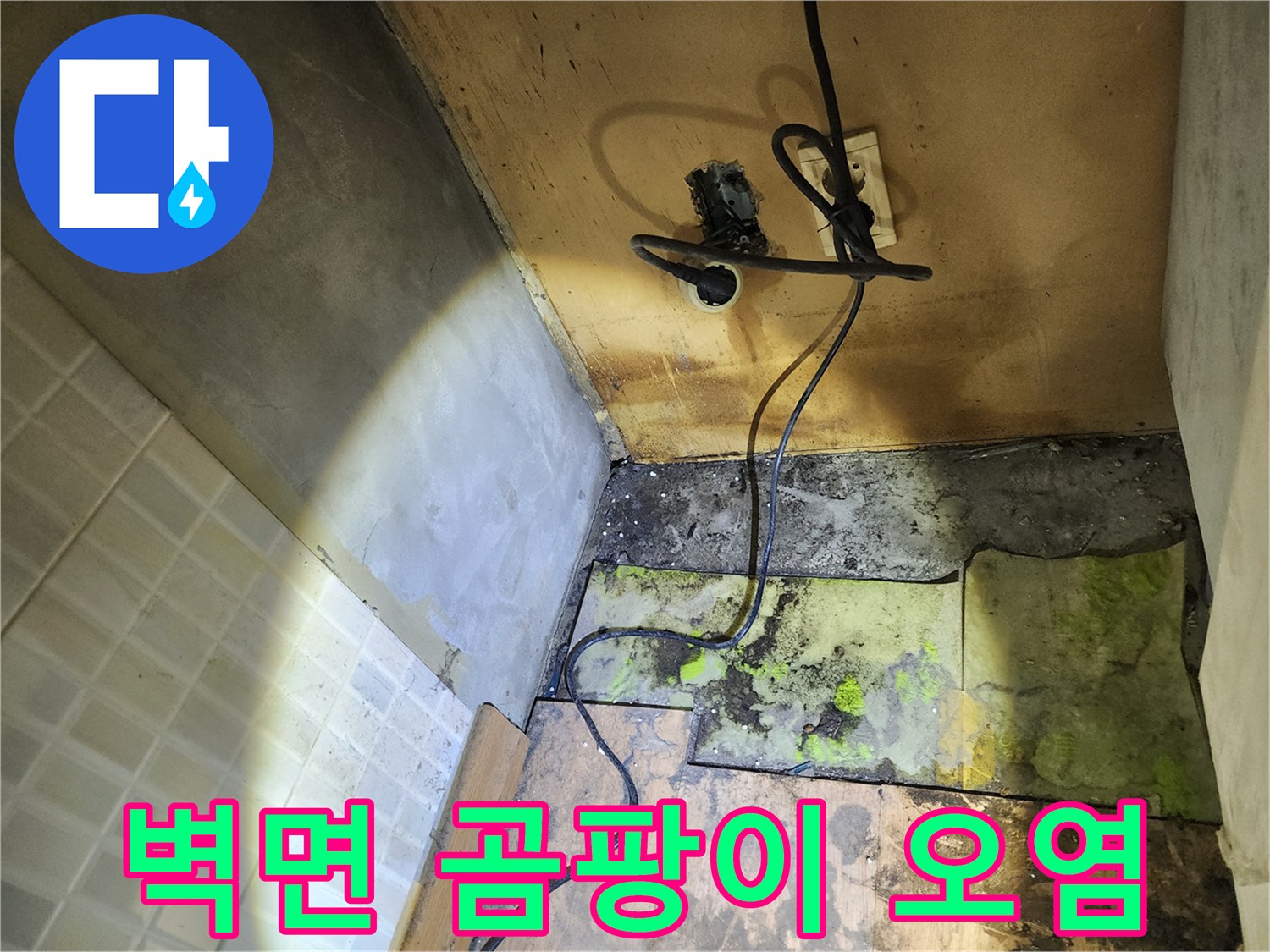 송파구 현장-벽면 콘크리트와 타일 부근의 심한 곰팡이 오염 상태