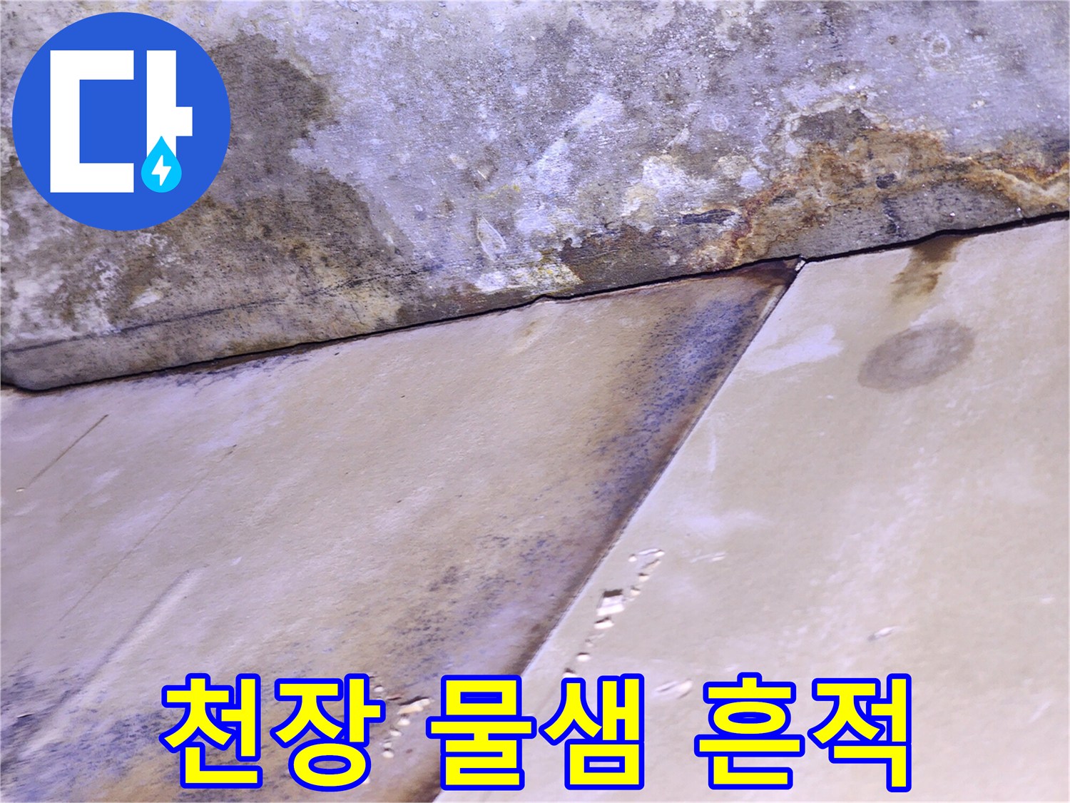 송파구 현장-천장재와 콘크리트 사이의 곰팡이 및 물자국