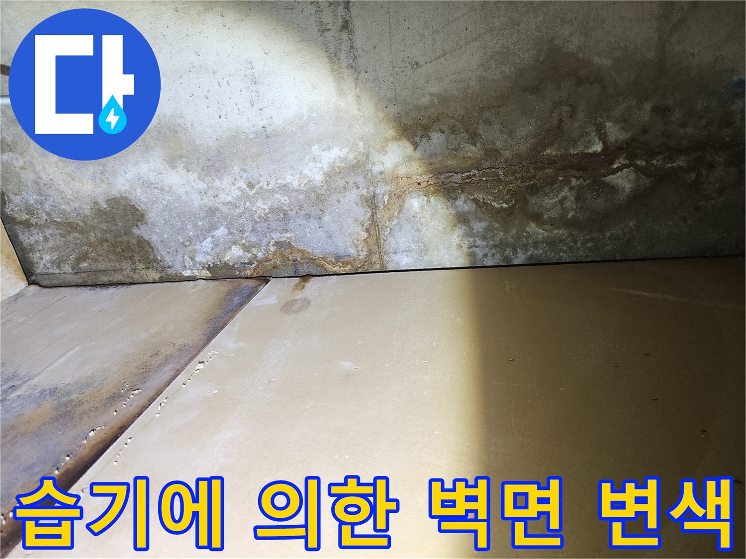 수분 침투로 오염된 콘크리트 표면 상태
