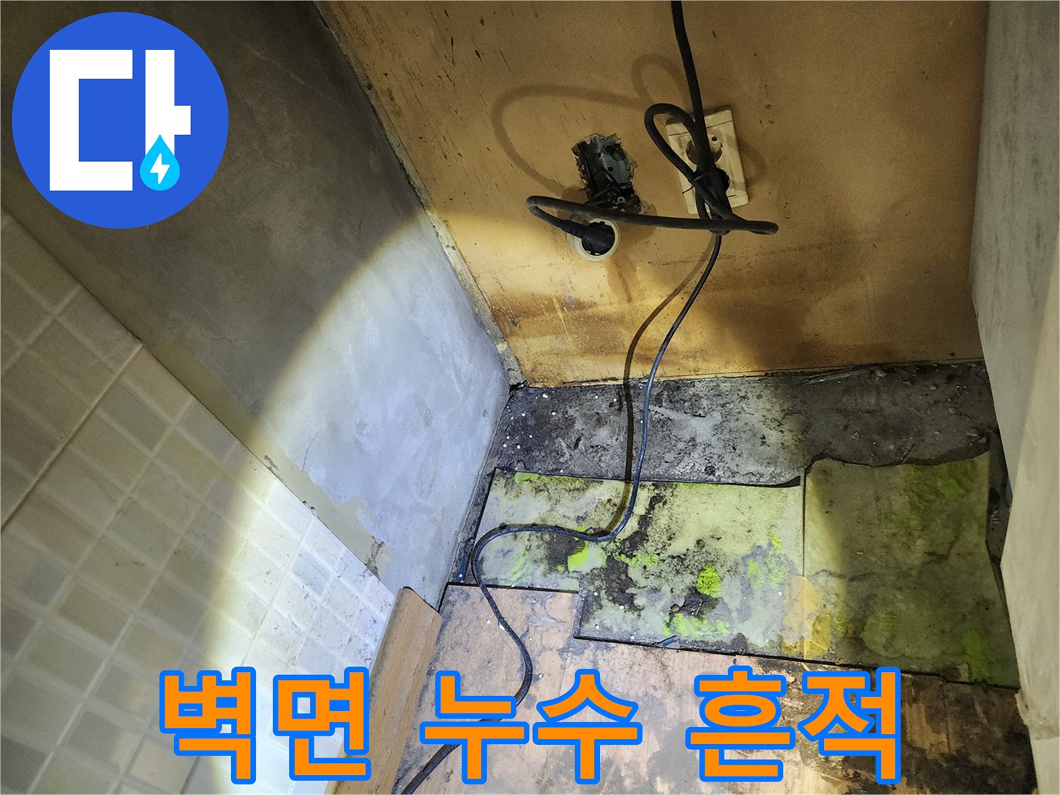 습기로 인해 부식된-콘크리트 벽면과 곰팡이 발생 구간