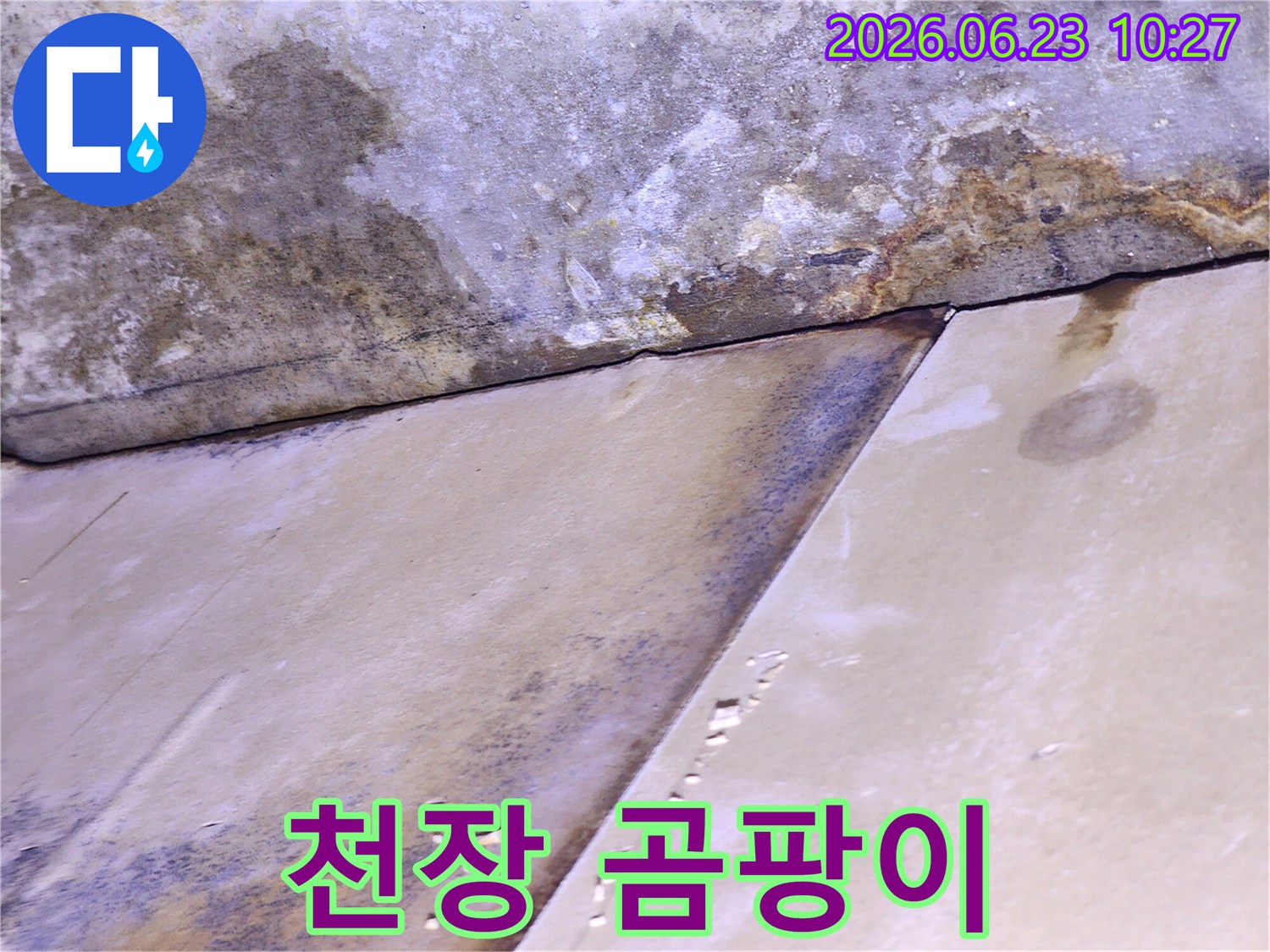 천장 마감재가 물에 젖어 변색되고 곰팡이가 발생한-누수 피해 현장 사진