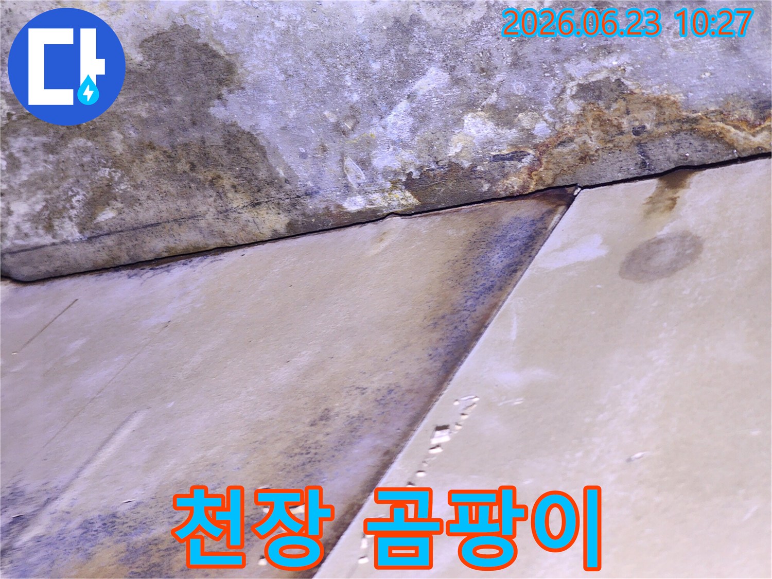 천장 마감재가 물에 젖어 변색되고 곰팡이가 발생한-누수 피해 현장 사진