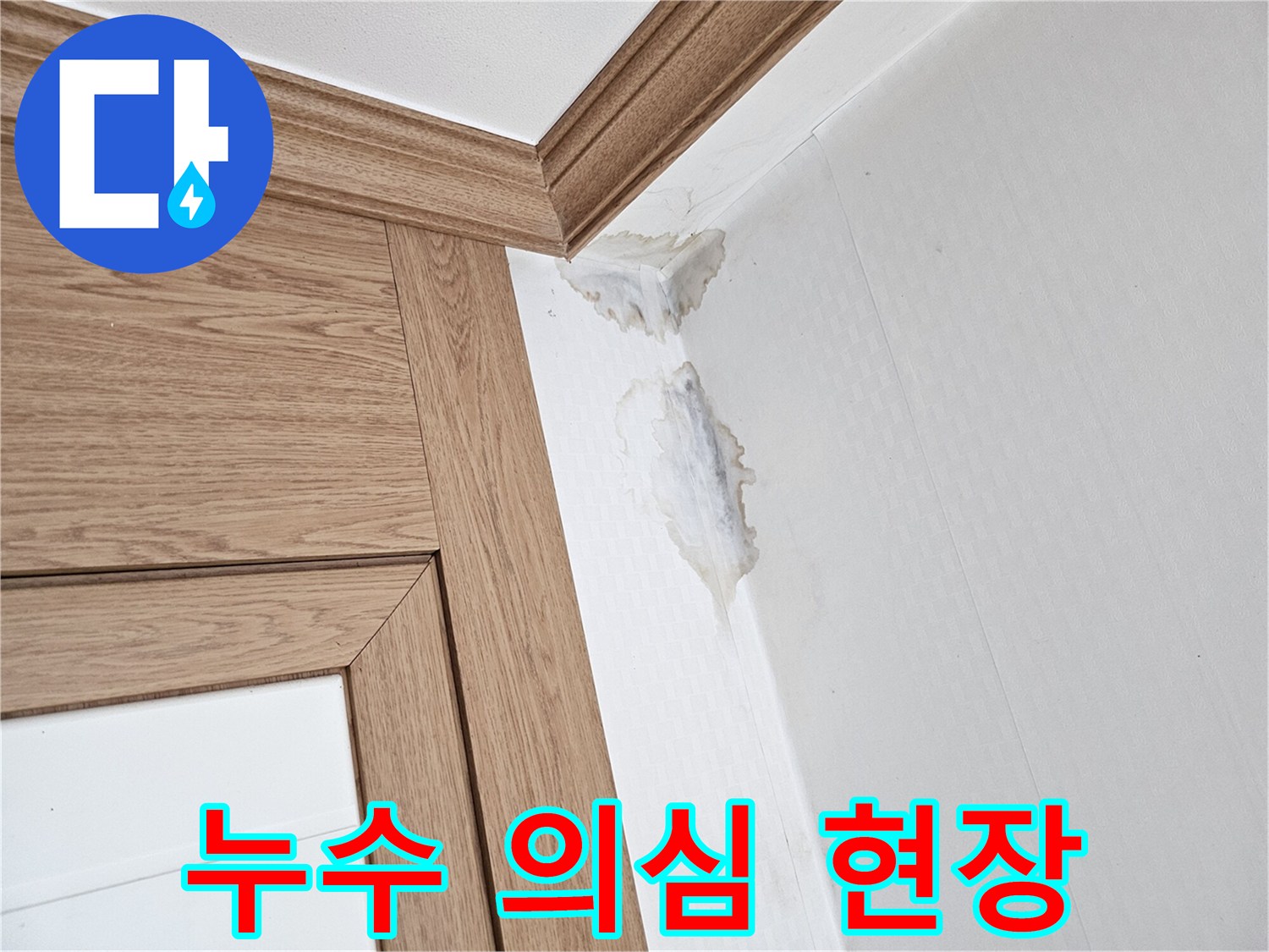 이 이미지는-벽과 천장 모서리에-누수로 인한-젖은 자국과-곰팡이가 생긴-모습을 보여줍니다.
