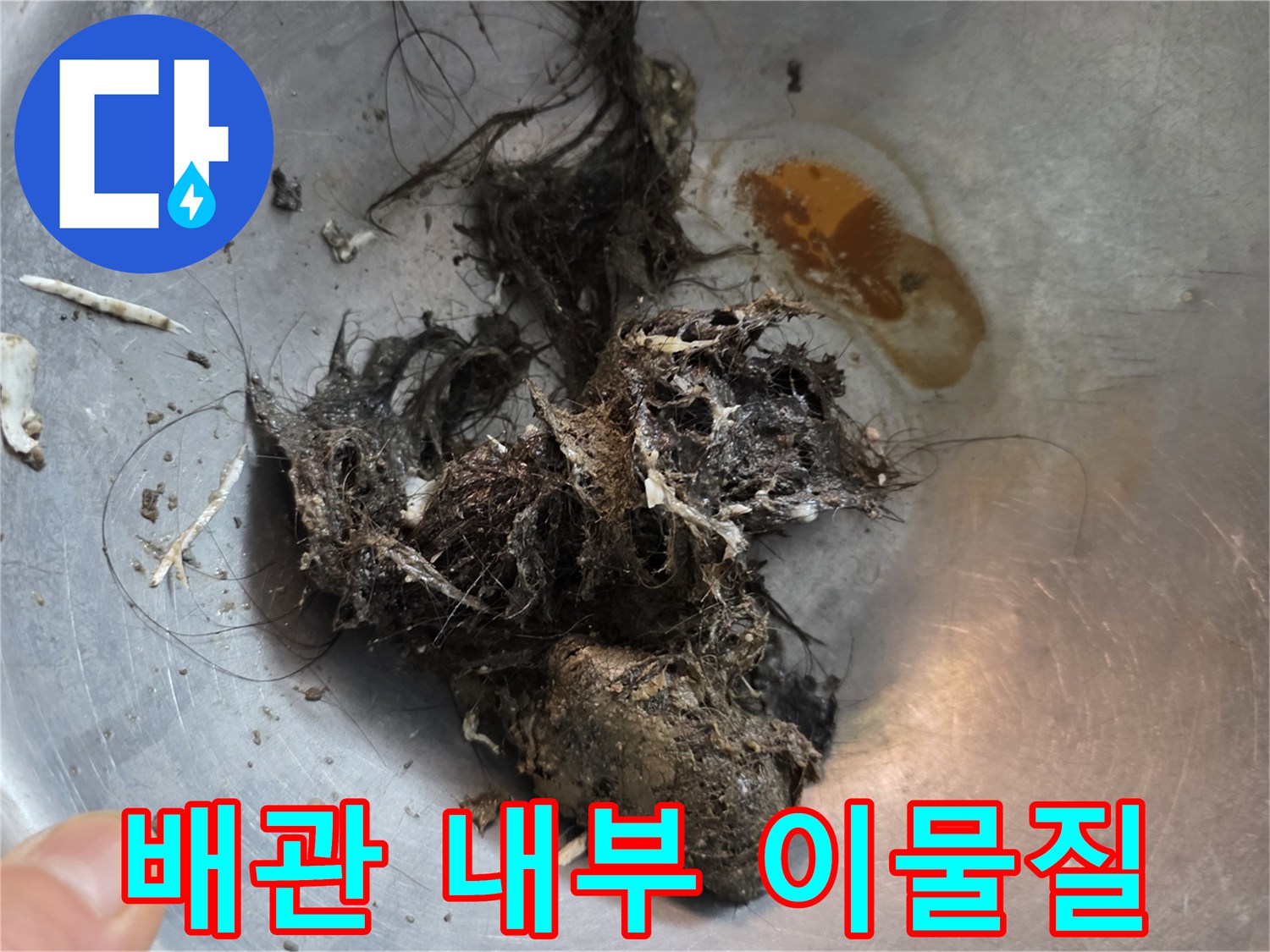 욕실 배관에서 추출한 머리카락과 오물 덩어리