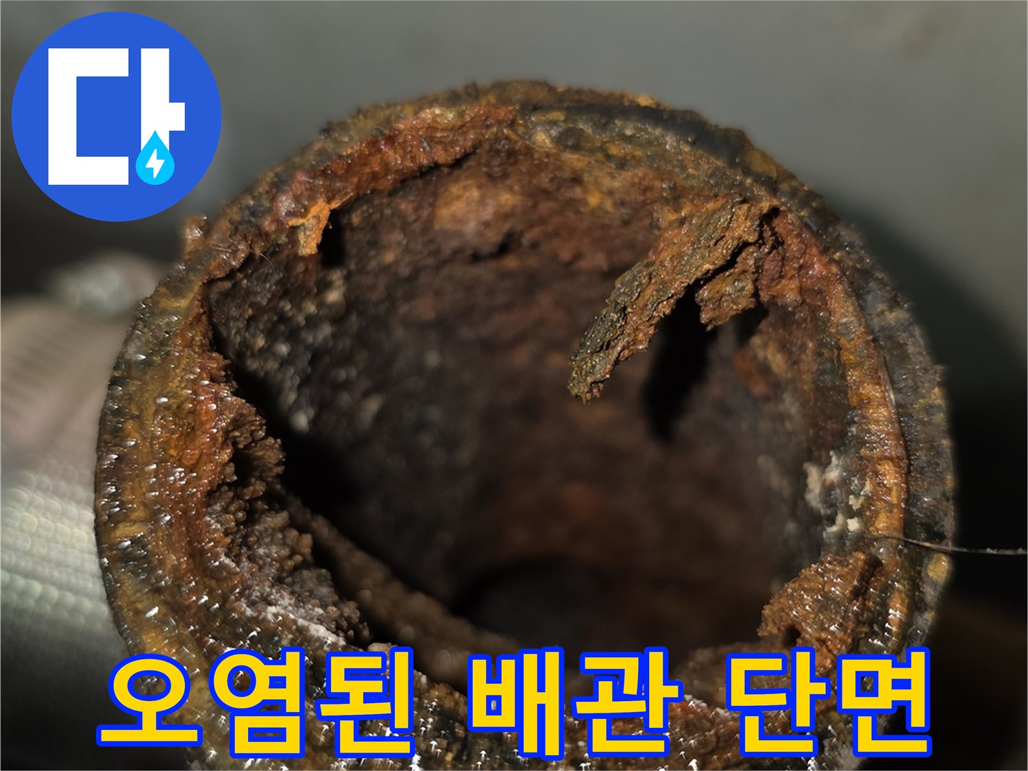하수 배관-내부 이물질과 오물 적체 상황