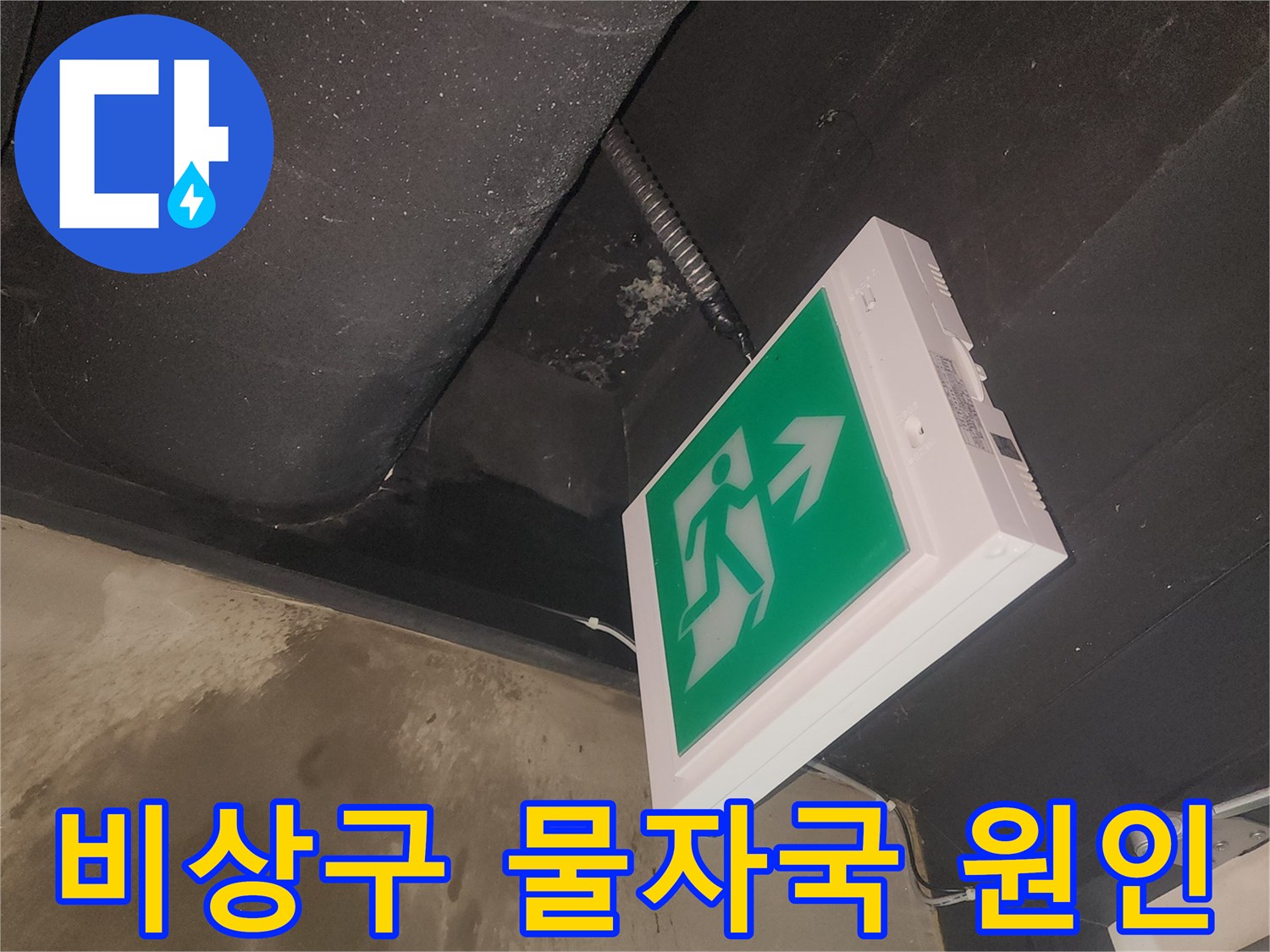 비상구 등기구 주변에 생긴 물자국을-저희 엔지니어가 면밀히 관찰하고 있습니다