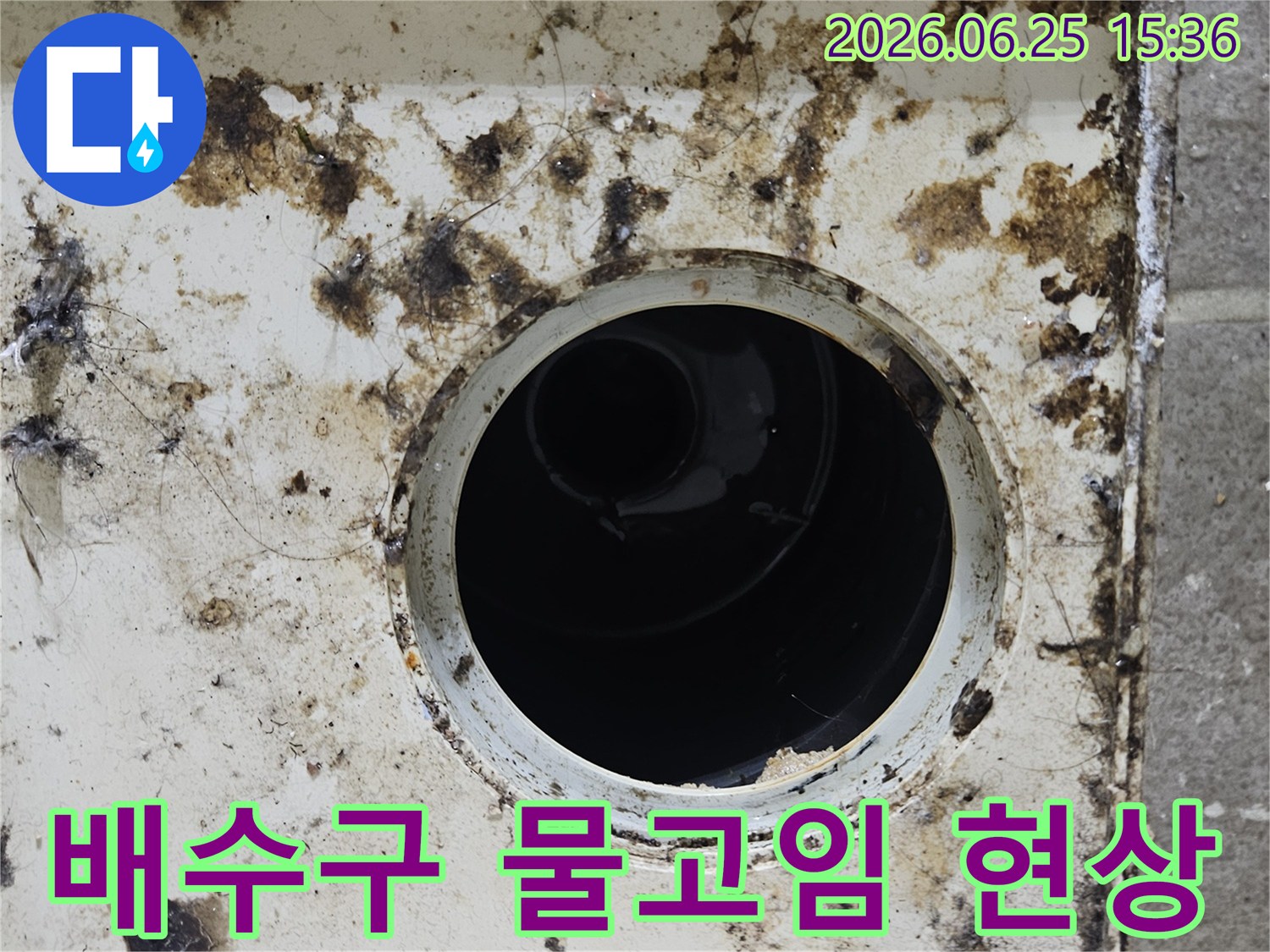 오염된 배수구 주변에 물때와 곰팡이가 심하게 낀 모습-지속적인 물고임 현상의 증거입니다