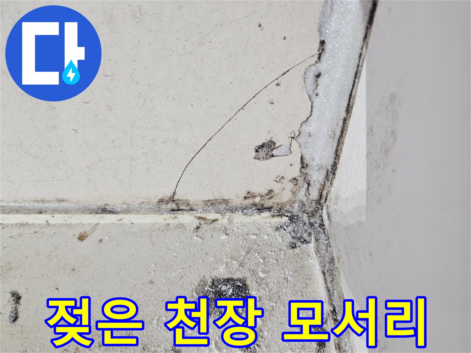 천장 마감재 주변의 - 습기로 인한 변색 및 곰팡이 오염 부위