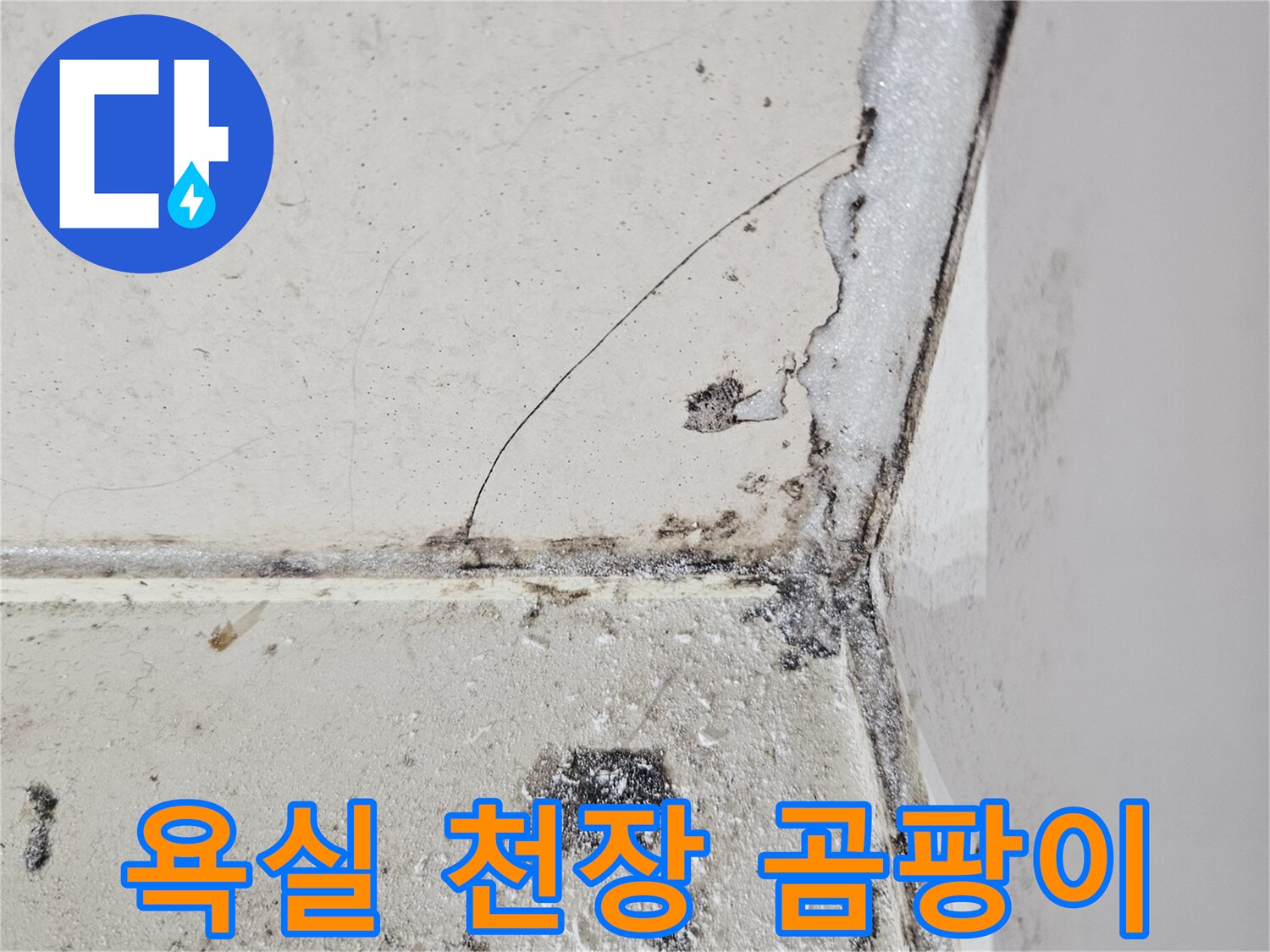천장-모서리-틈새의-물자국과-오염