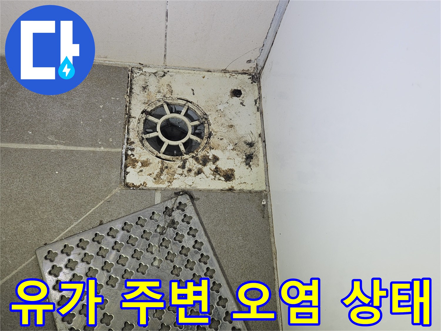 화장실 배수구 유가 주변의 찌꺼기와 오염된 타일 모습