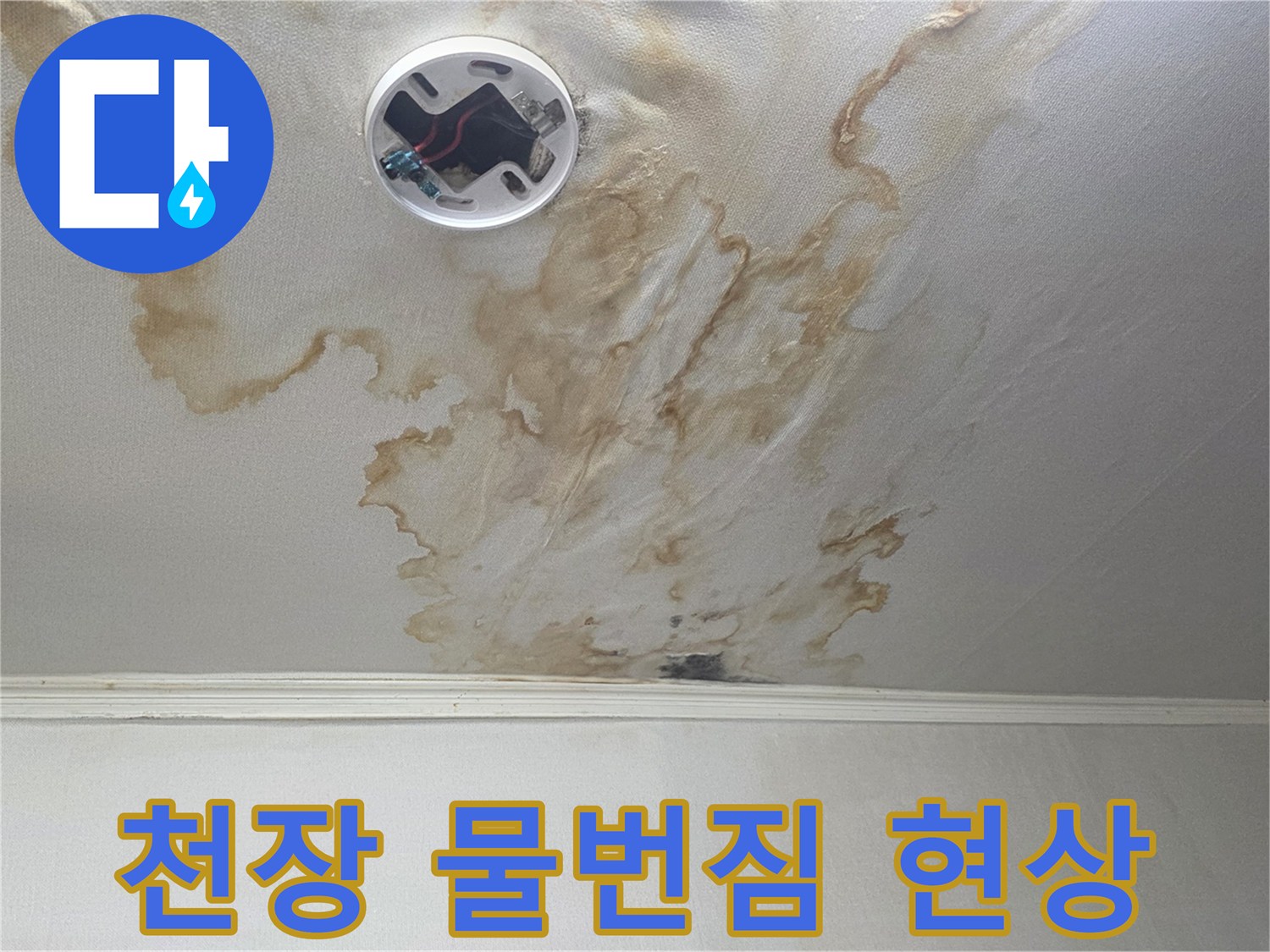 가양동 거실-매립등 주변의 누수 유입 흔적과 변색