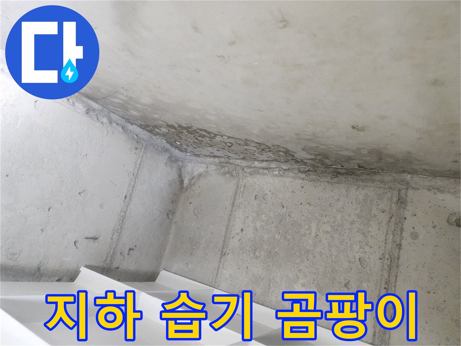 아파트 지하 벽면에-누수로 인한-습기와-곰팡이가-번식하고 있는-현장입니다.