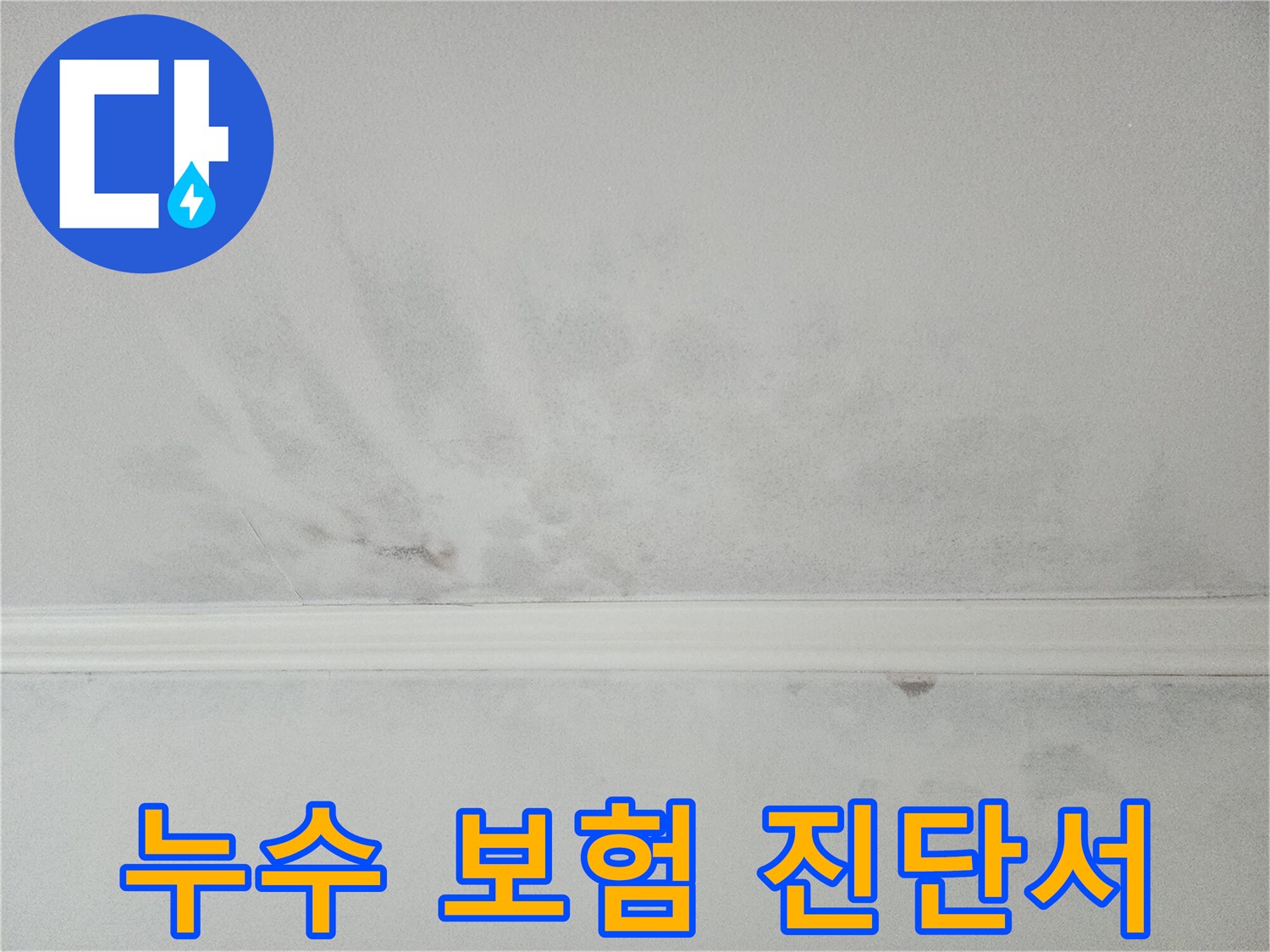 천장 누수 피해에 대한 전문가 진단서 발급-보험 처리를 위한 필수 과정입니다