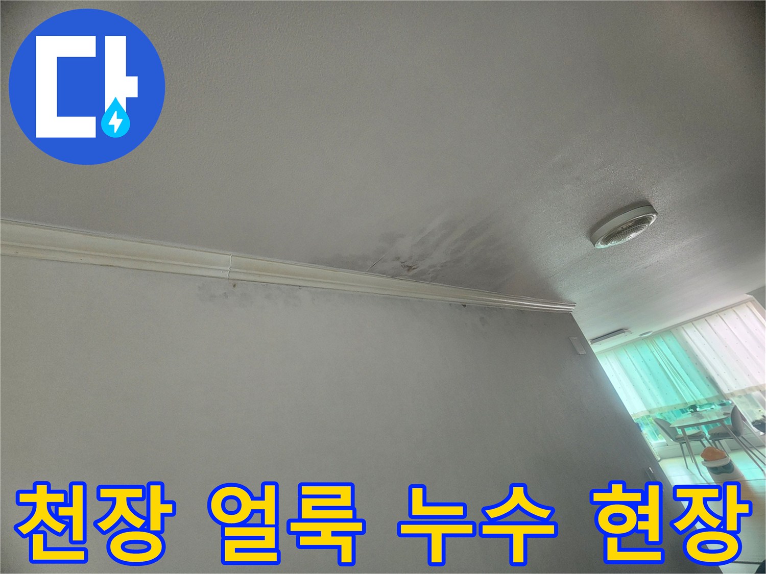 천장-모서리에-발생한-누수-얼룩은-물이-새고-있음을-명확히-보여줍니다
