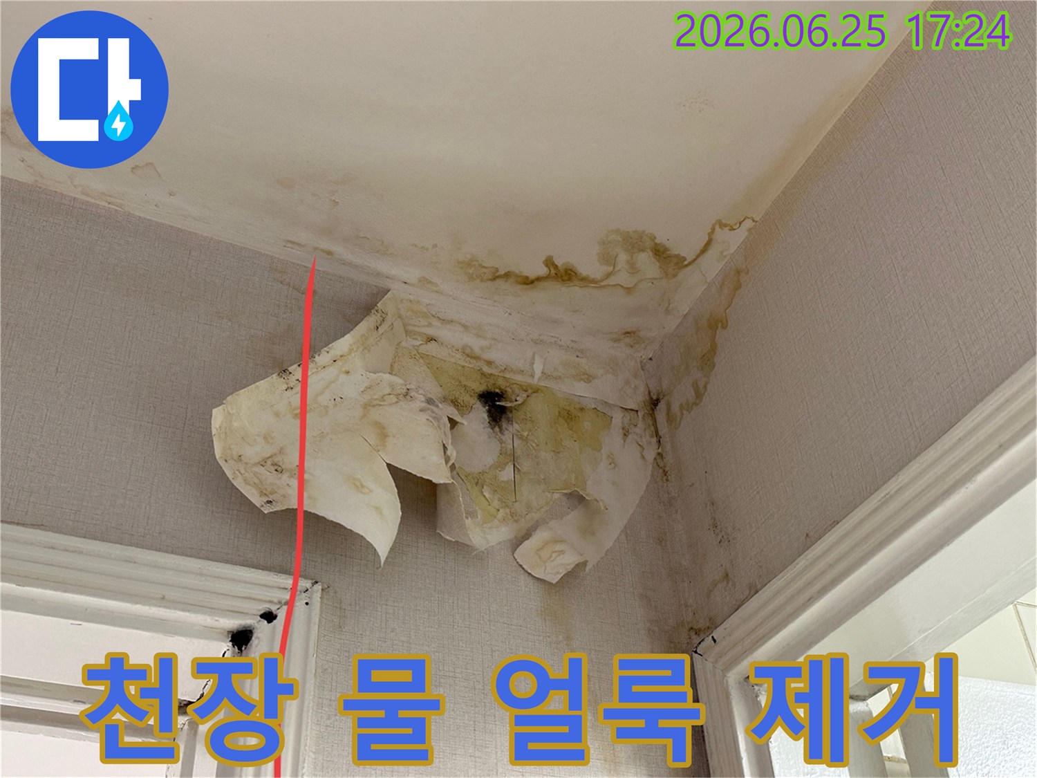 이 사진은 천장과 벽면에서 발생한 심각한 누수-벽지 들뜸-그리고 곰팡이 피해를 보여줍니다.