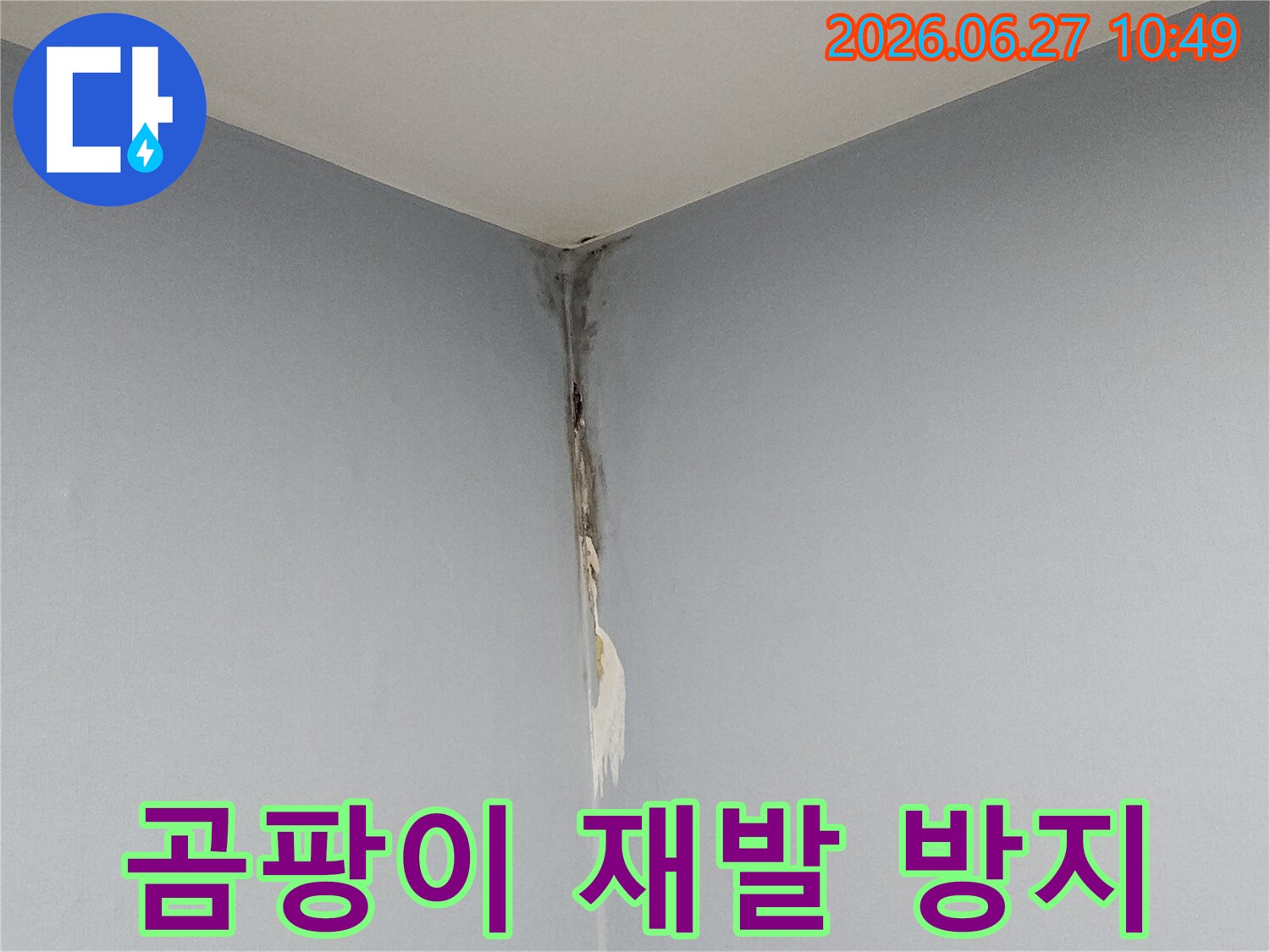 천장과 벽의 모서리 부분에 누수로 인한 곰팡이가 광범위하게 퍼져있고-벽지가 심하게 손상된 모습으로-전문적인 곰팡이 제거와 누수 보수가 시급함을 보여줍니다.