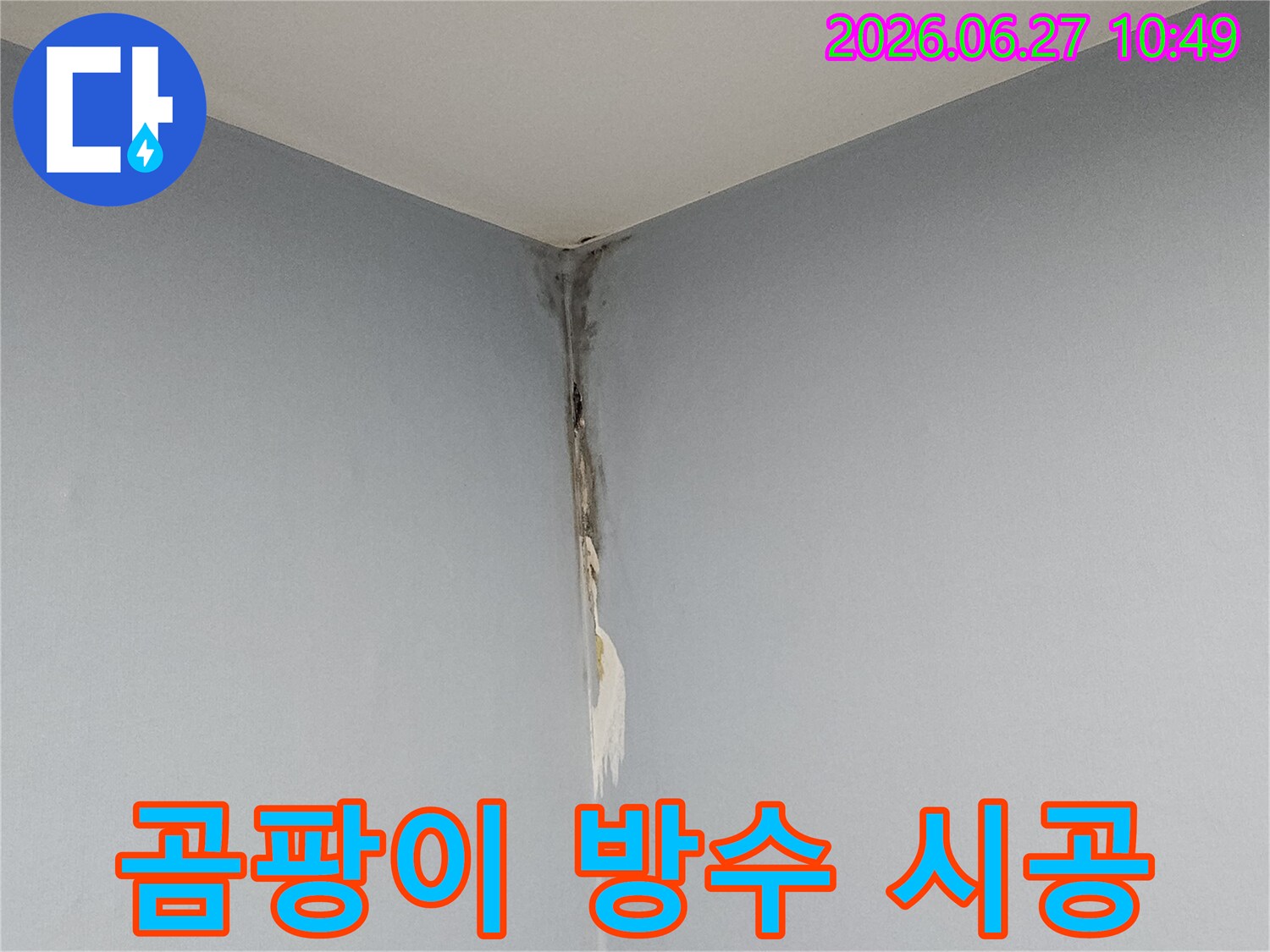 천장과 벽이 만나는 모서리 부분에 누수로 인한 곰팡이가 심하게 번져있고-벽지가 손상된 모습으로-전문적인 곰팡이 제거와 방수 시공이 필요한 현장입니다.