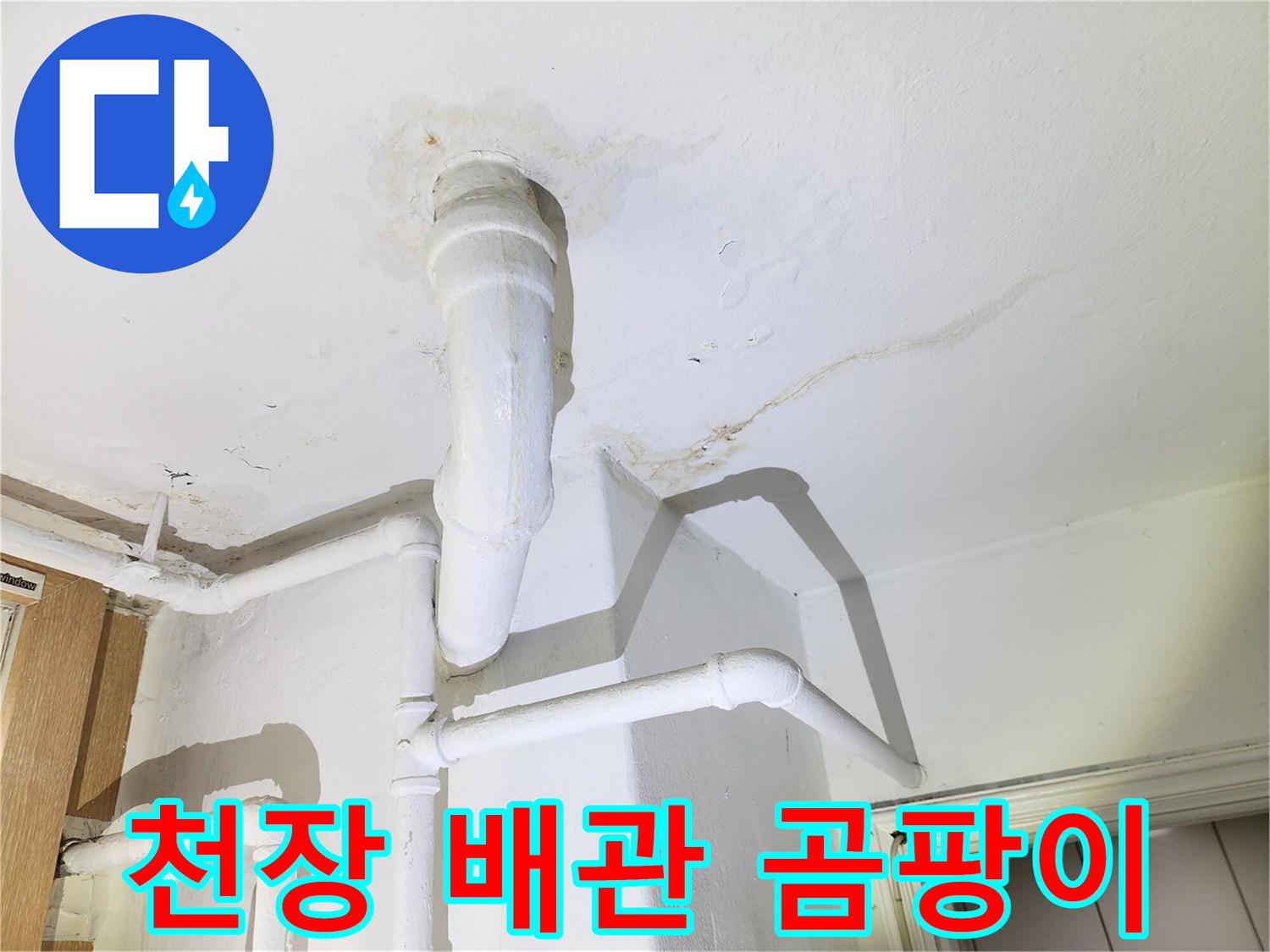 배관-연결부-주변에-발생한-누수-및-곰팡이