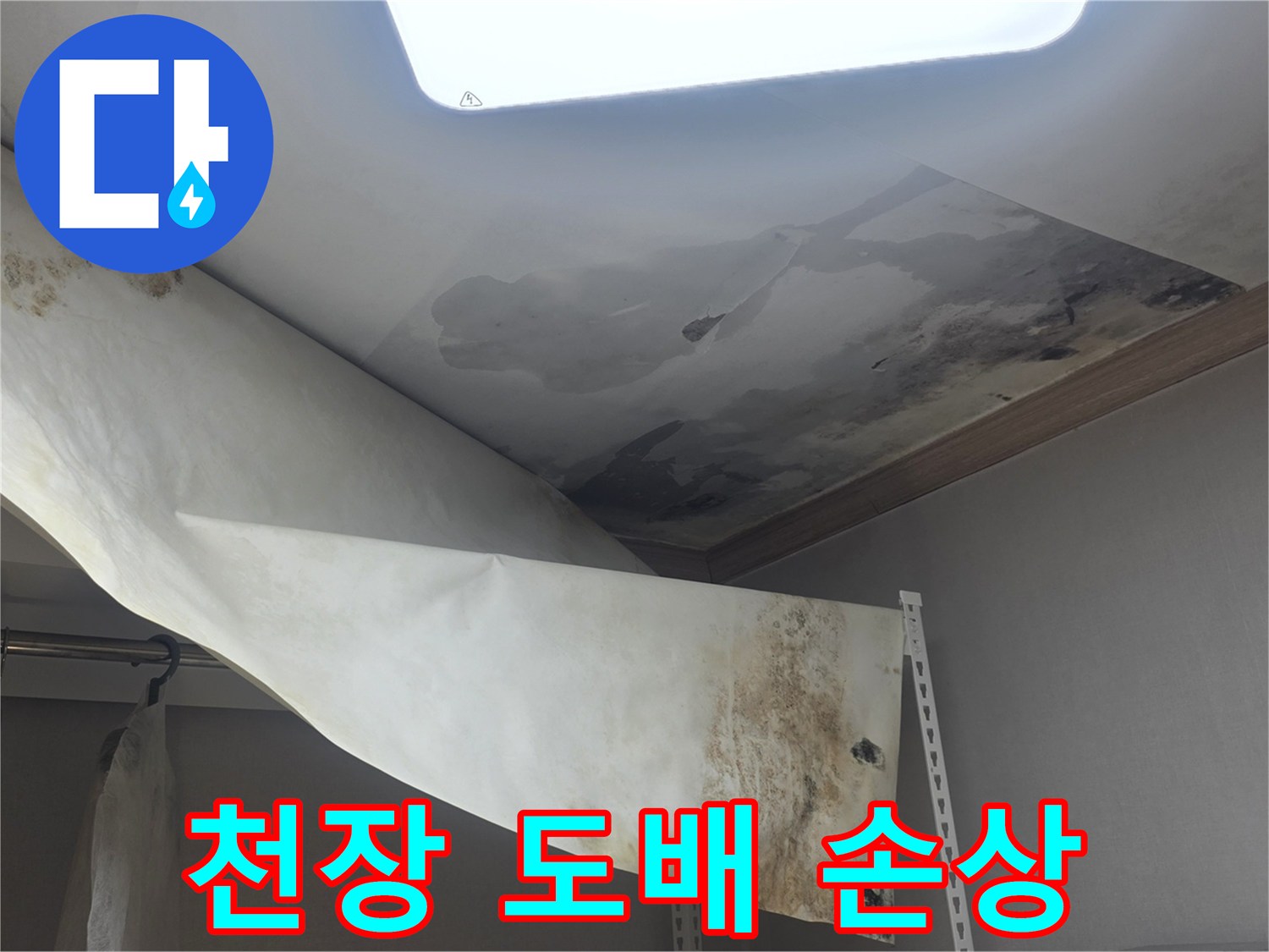 물에 젖어 축 처지고-곰팡이가 번식한-천장 벽지의-심각한 피해 현장입니다
