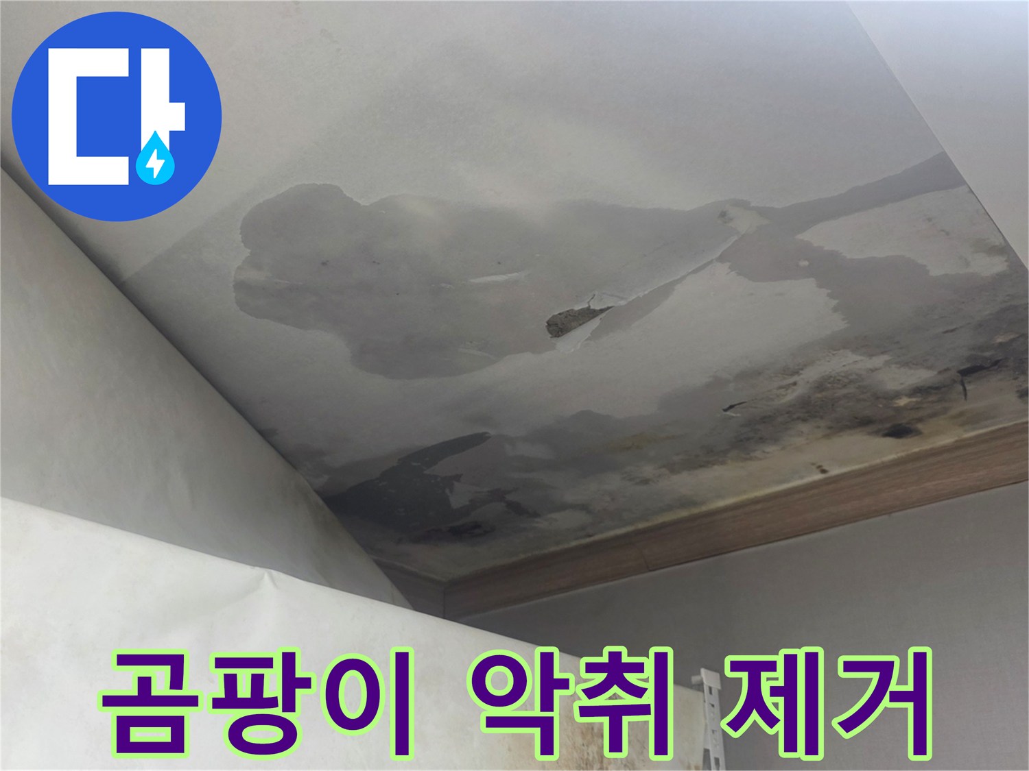 천장에 심하게 번진 곰팡이와-그로 인한 악취는-누수 해결과 함께 전문적인 곰팡이 제거 및 환기가 필요함을 보여줍니다.
