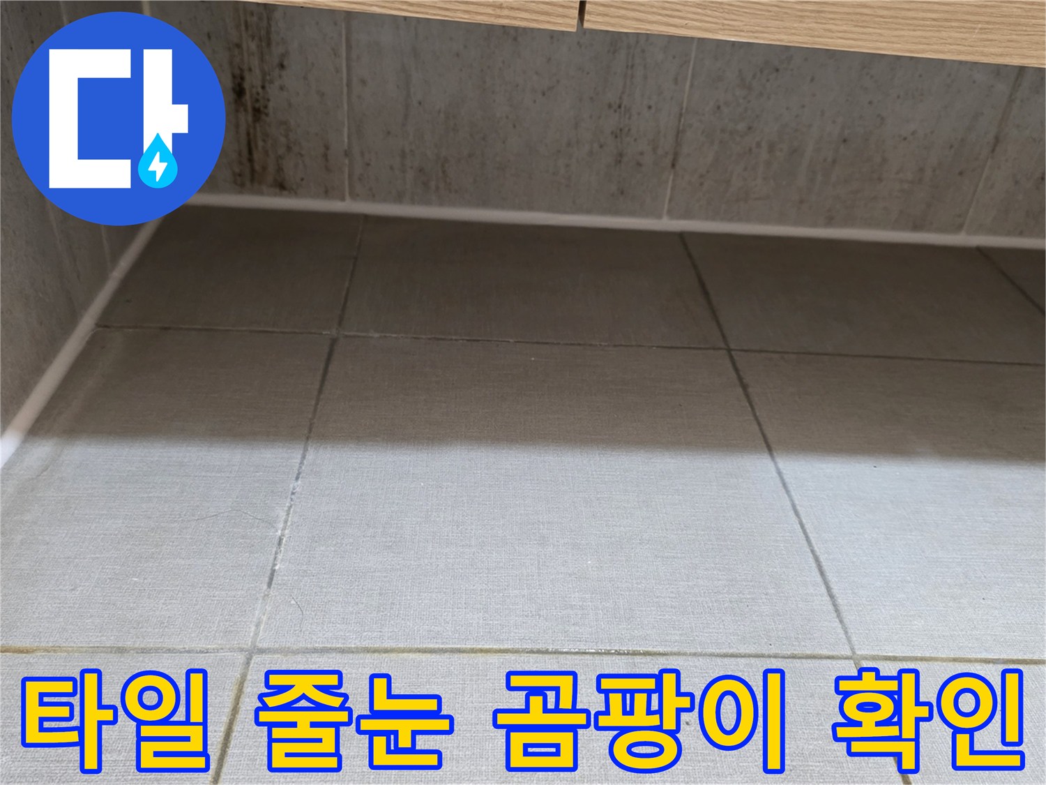 타일-줄눈-사이의-심한-곰팡이-오염-상태