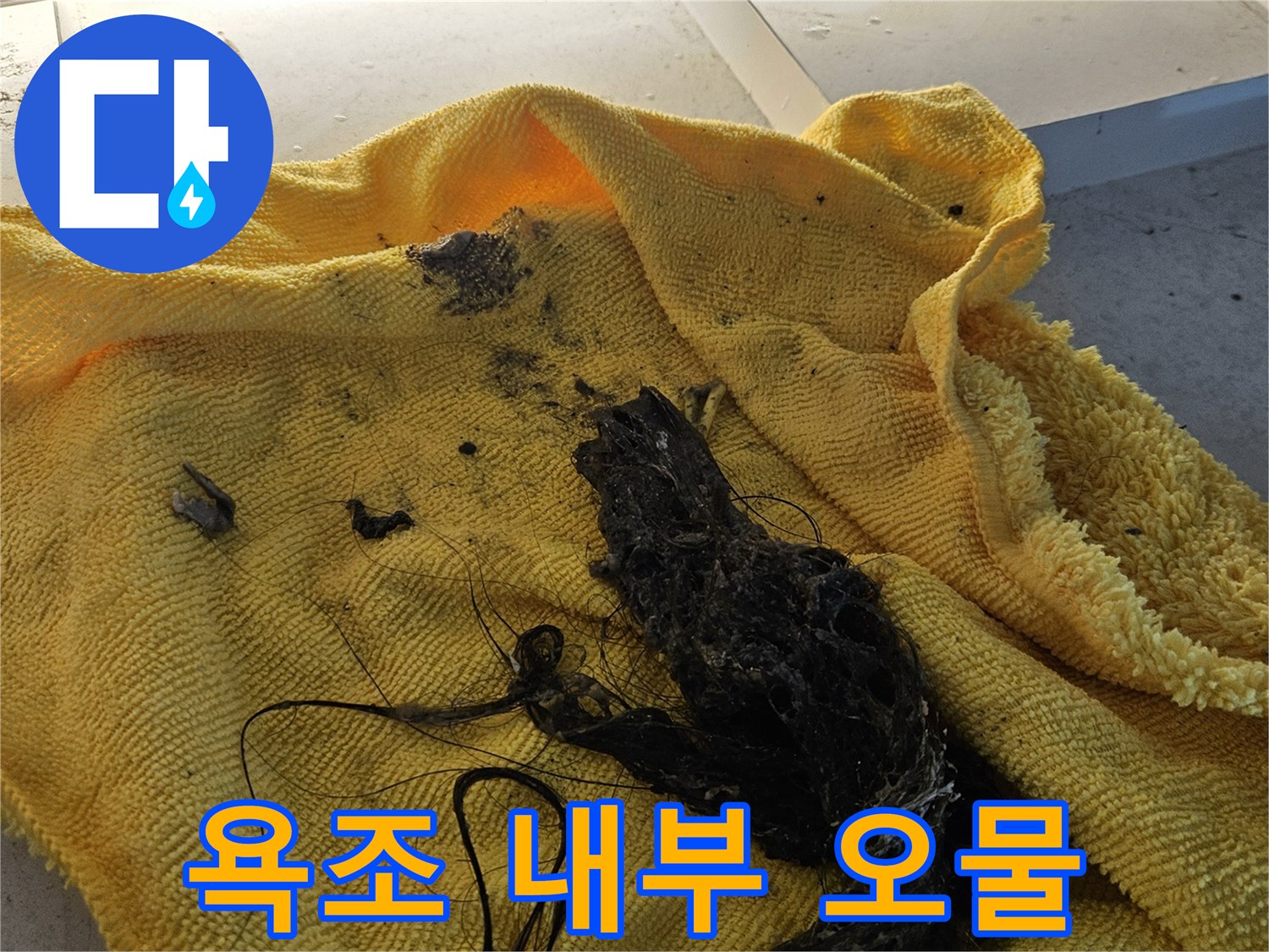 욕조 배관 내부에서 수거된 검은색 이물질과 찌꺼기 상태