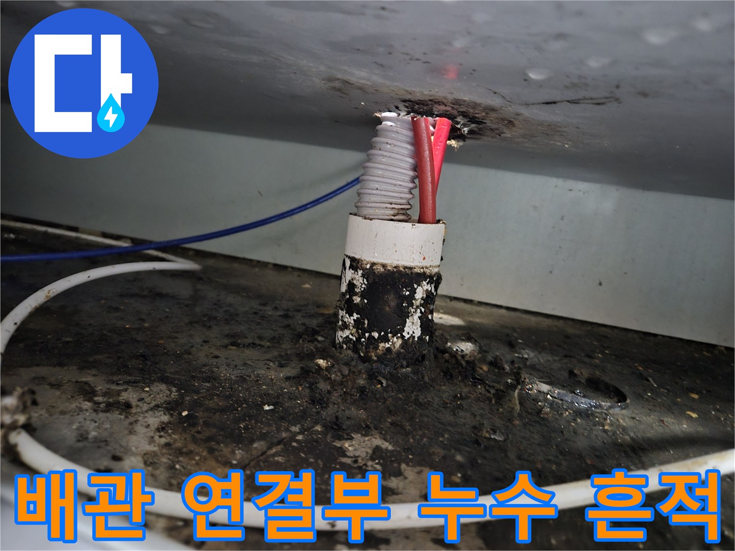 누수로 인해 검게 변하고 오염된 싱크대 배관 주변