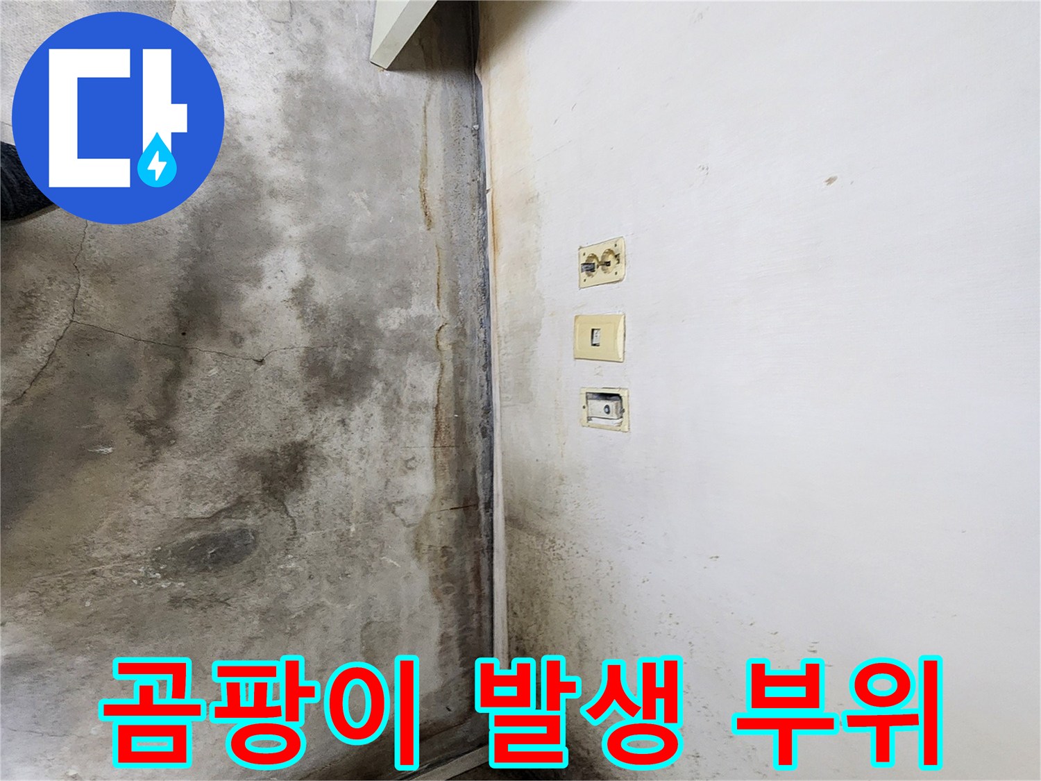 학성동 현장 기록-습기 및 곰팡이가 심한 벽 하단