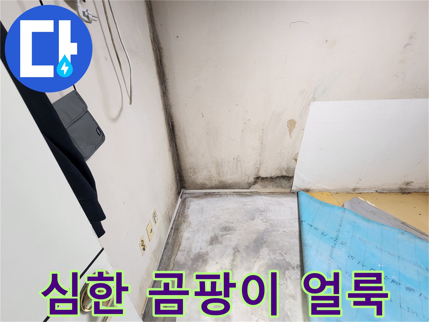 학성동 현장-습기 침투로 인한 벽면 곰팡이 발생