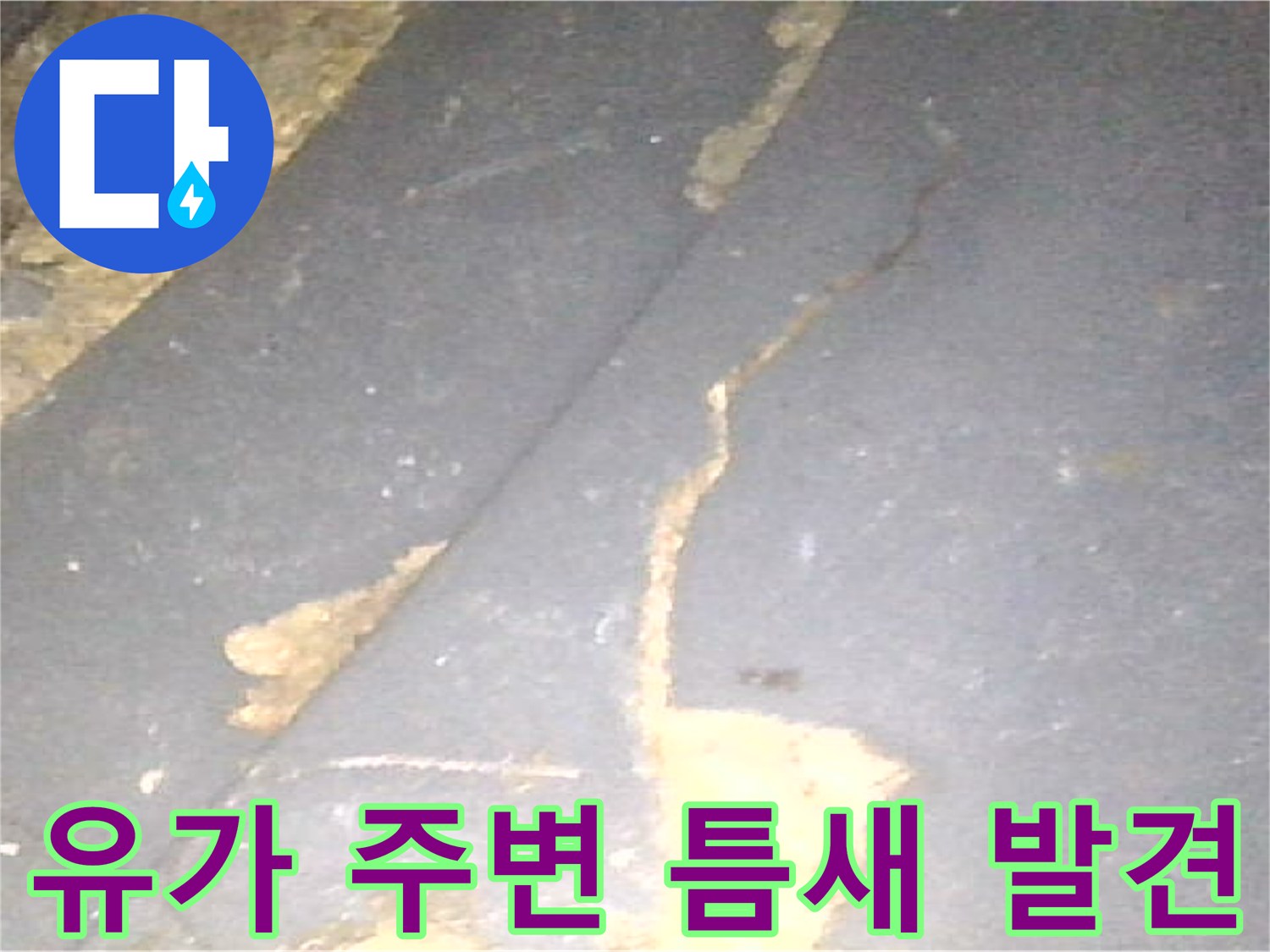 배수구-유가-주변-방수층-균열-발견